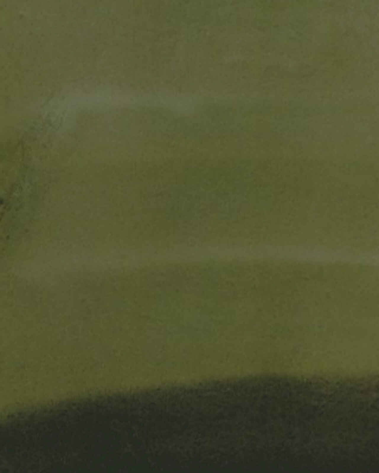 Muted organic background in green hues, resembling layered brushstrokes