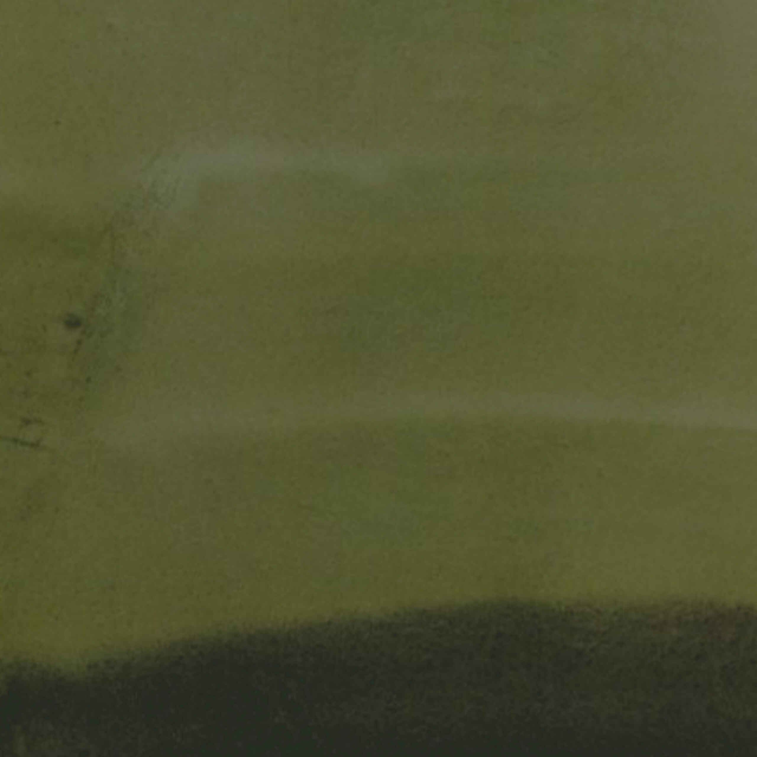 Muted organic background in green hues, resembling layered brushstrokes