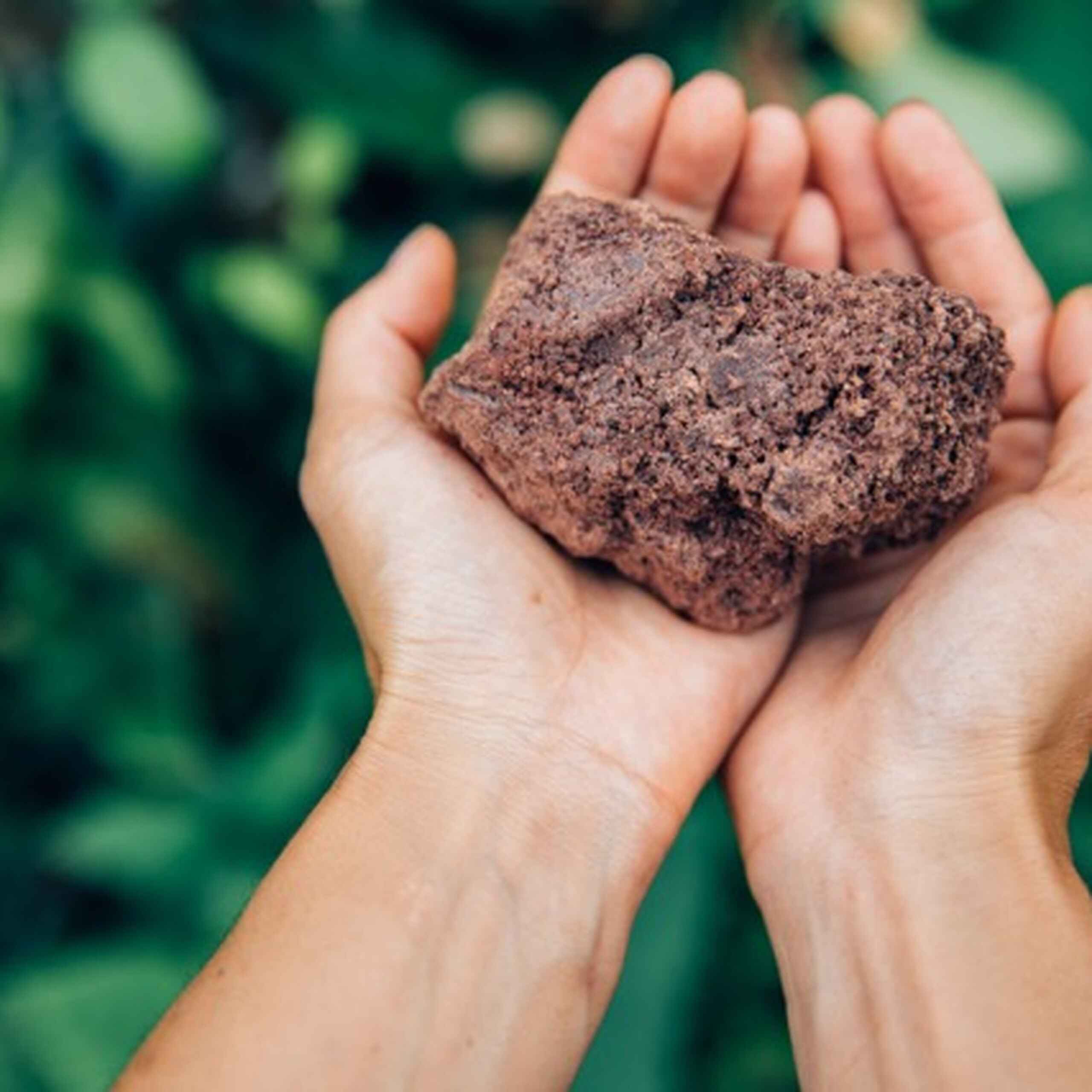 Hands holding rich, dark soil in a garden setting