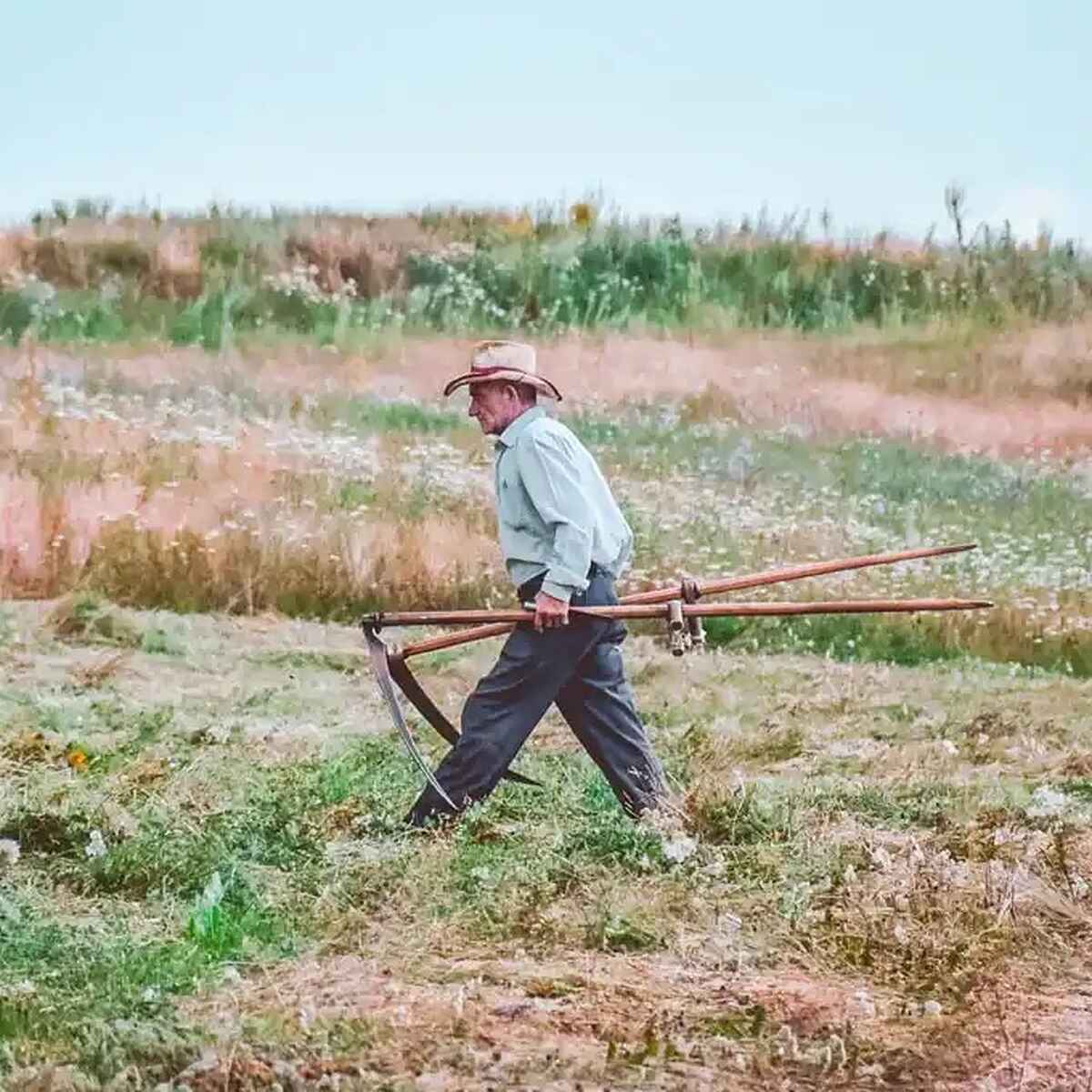 Farmer carrying a large plow across a field of exposed soil and sparse vegetation