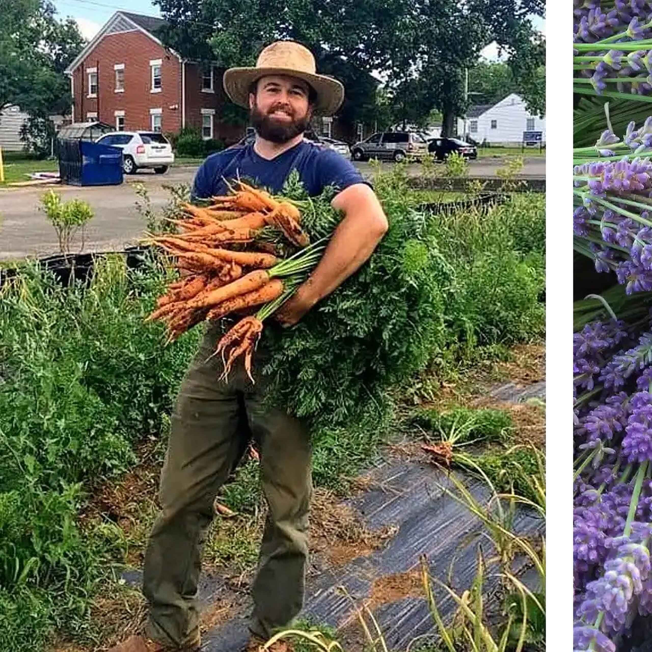 Farmer Timothy Kercheville holding freshly harvested carrots in his garden, with blooming purple flowers visible on the right