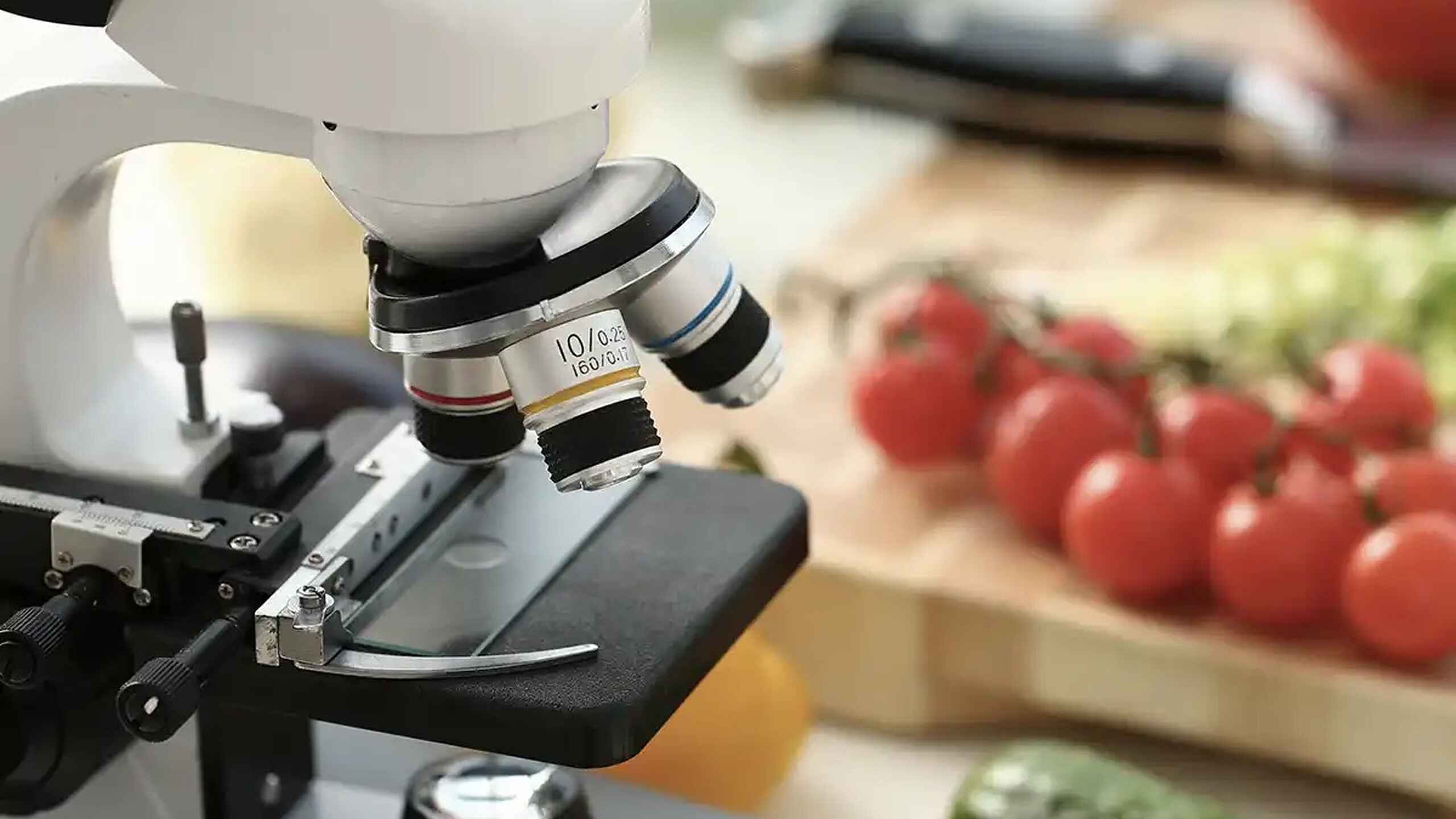Microscope positioned over fresh produce including tomatoes and cucumber, symbolizing scientific examination of food quality and safety