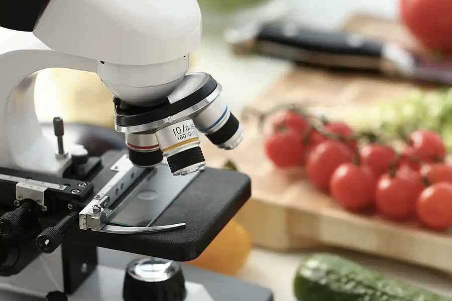 Microscope positioned over fresh produce including tomatoes and cucumber, symbolizing scientific examination of food quality and safety