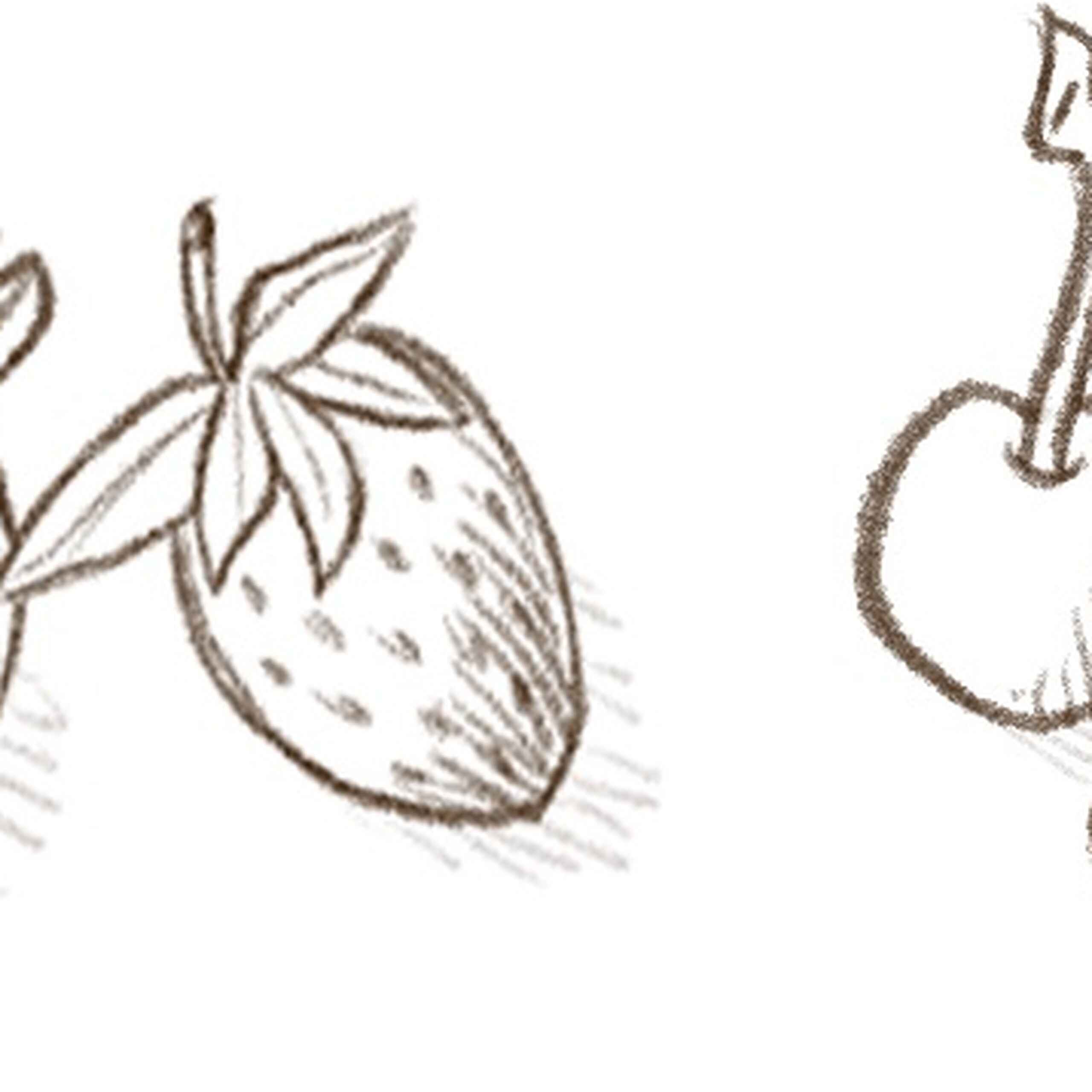 Botanical sketches of strawberries and cherries representing common crops grown by farmworkers