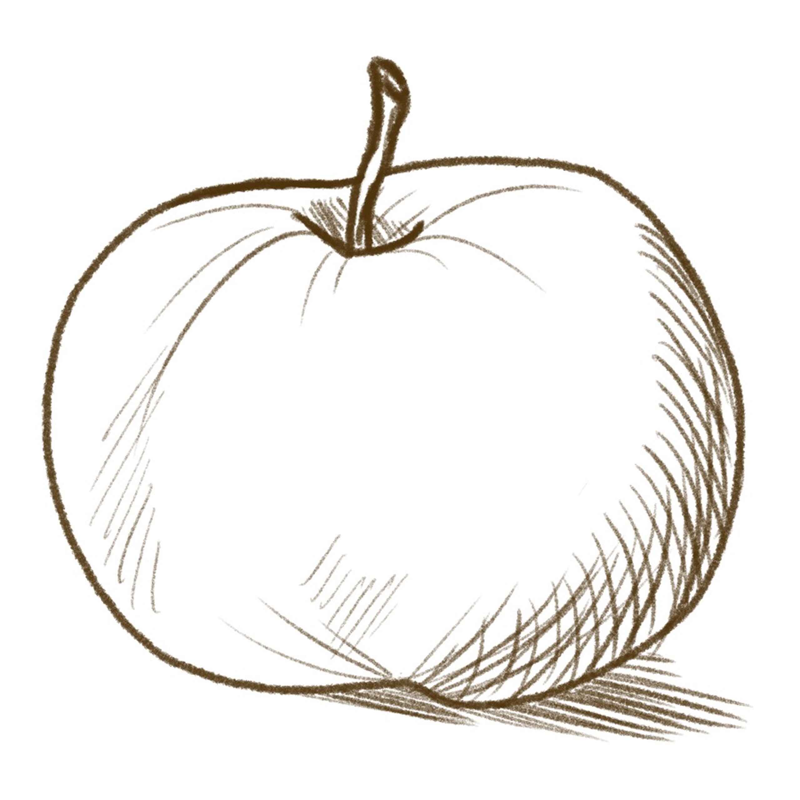 Hand-drawn apple with stem and shading