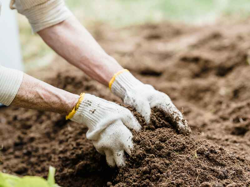 Gardener wearing work gloves layering soil into a raised garden bed