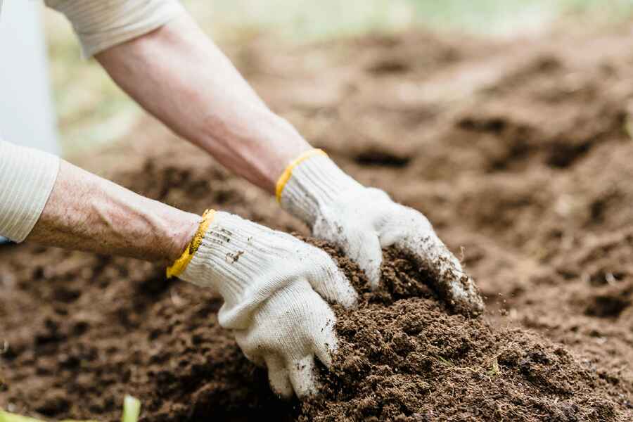 Gardener wearing work gloves layering soil into a raised garden bed