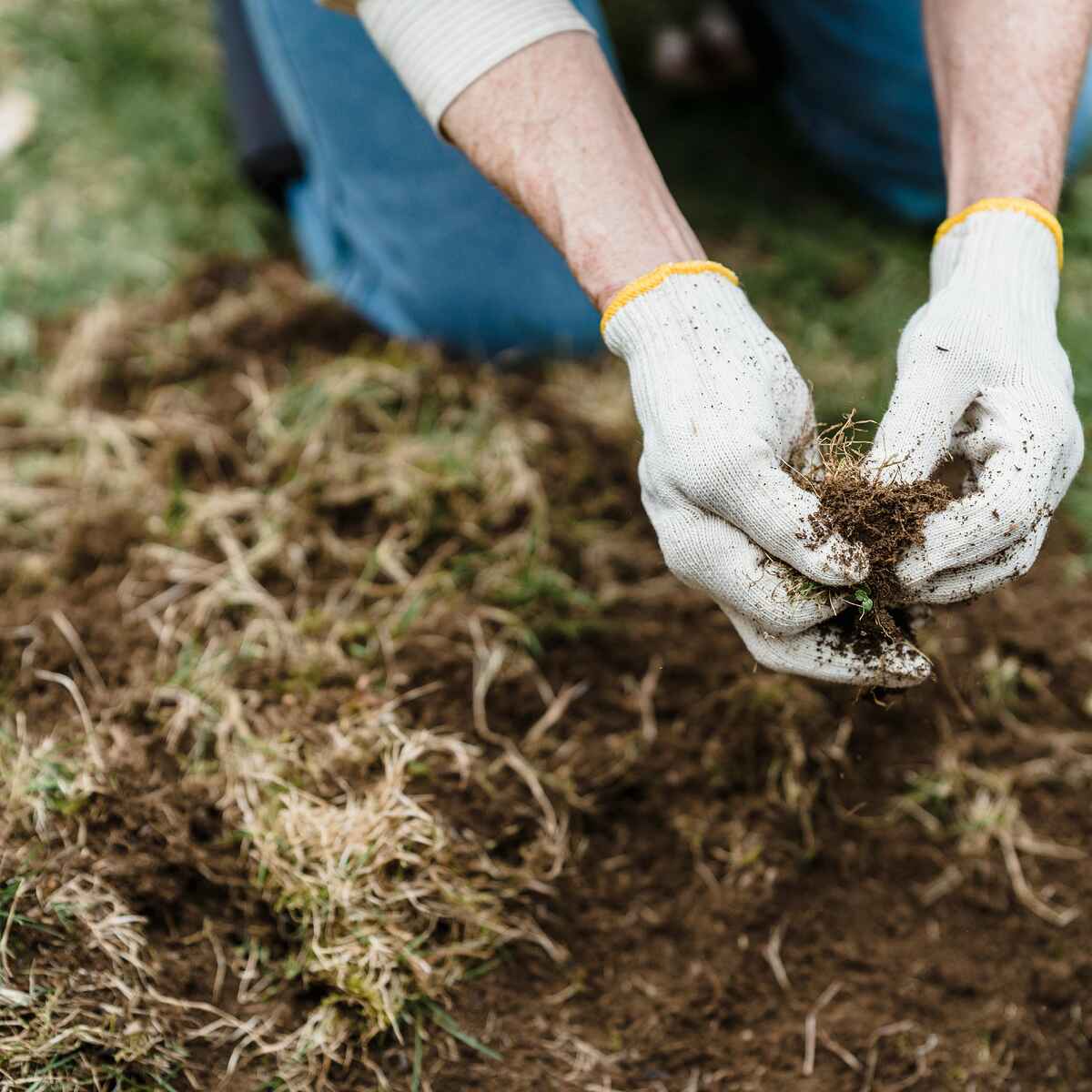 Person holding rich, dark soil with organic matter and microorganisms in their hands