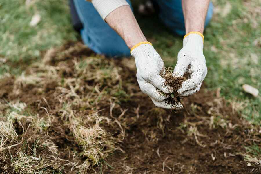 Person holding rich, dark soil with organic matter and microorganisms in their hands