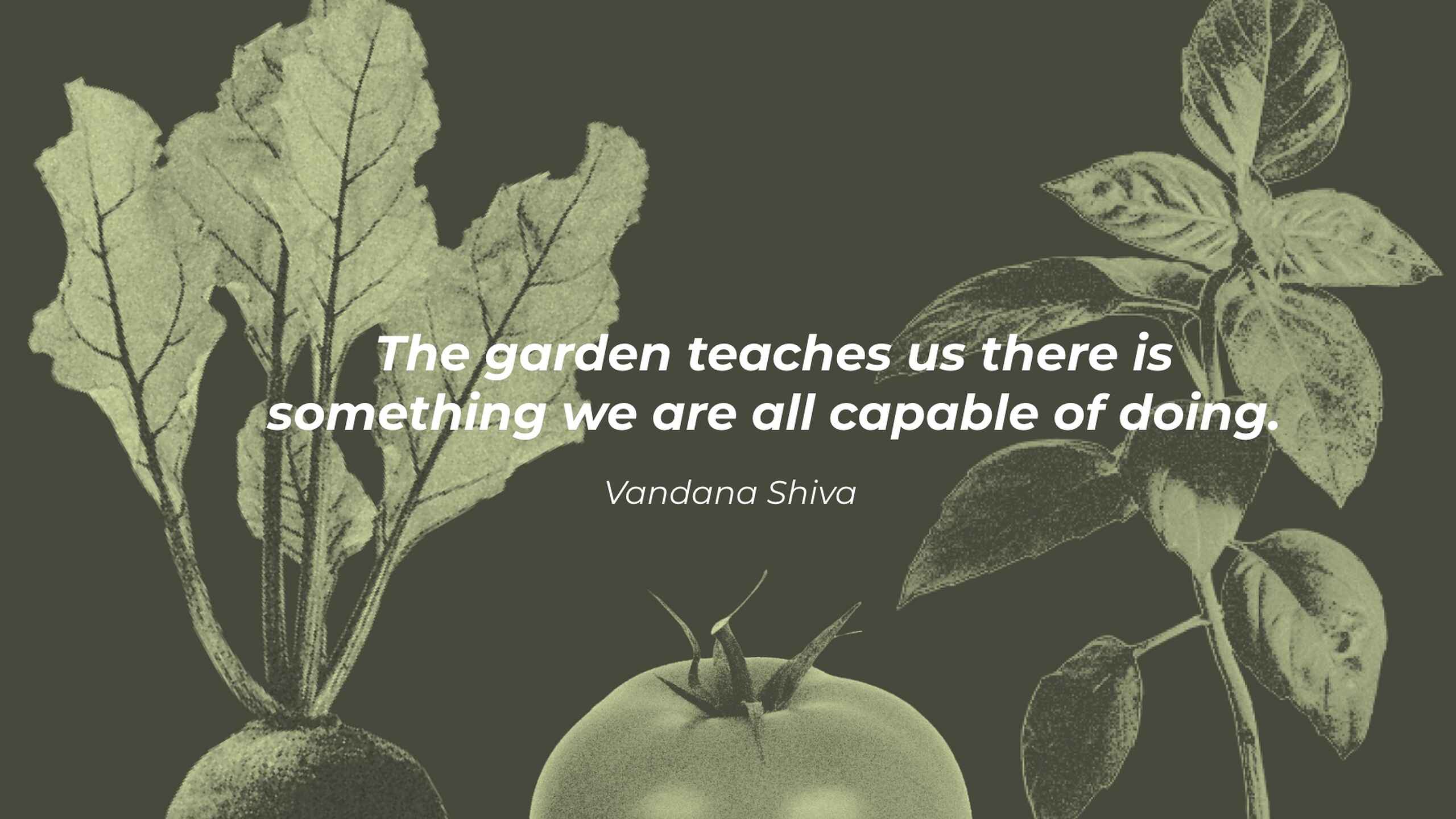 Botanical illustrations of garden vegetables with Vandana Shiva quote about gardening teaching universal capability