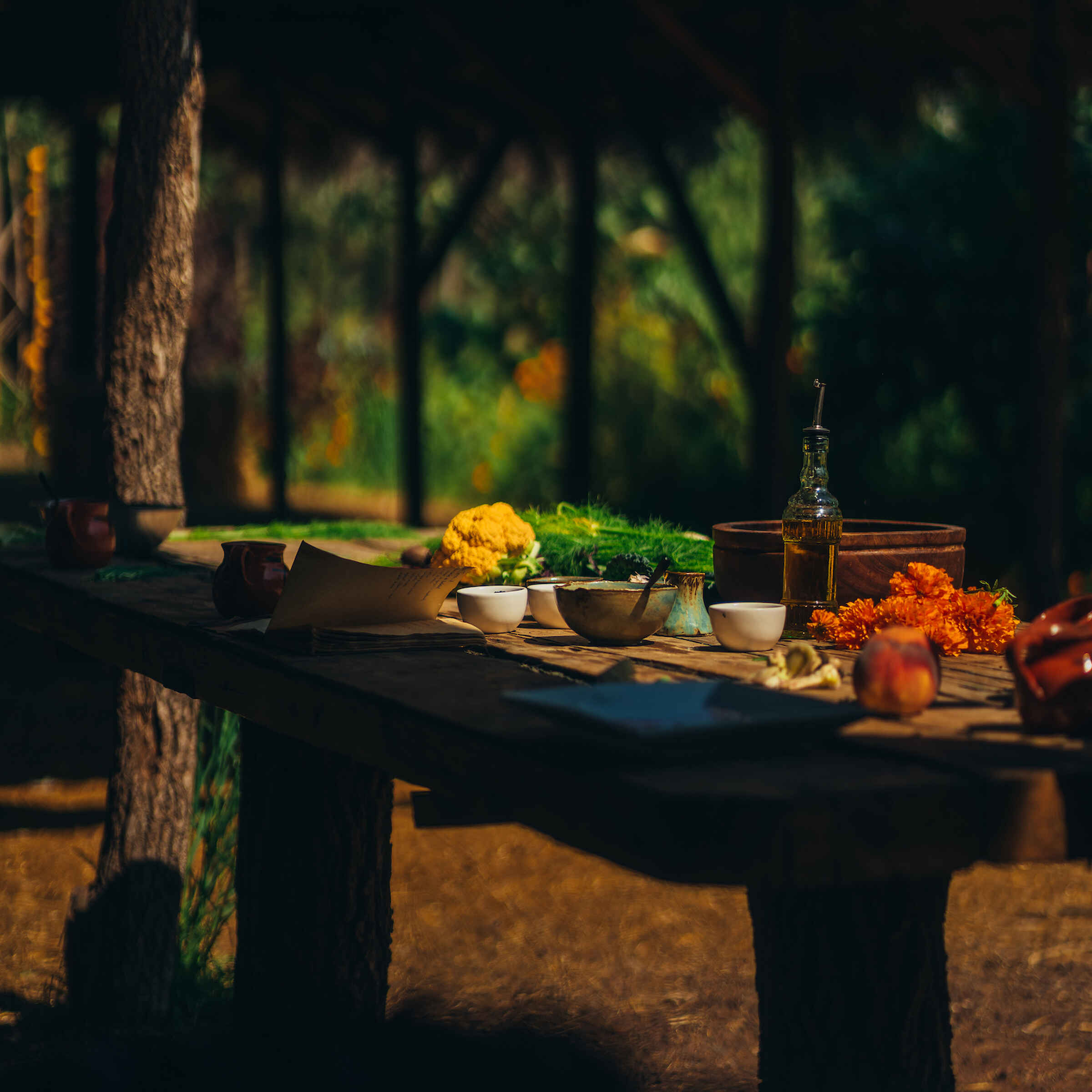Rustic outdoor table with fresh herbs, turmeric root, orange marigold flowers, and traditional cooking vessels arranged in dappled forest sunlight
