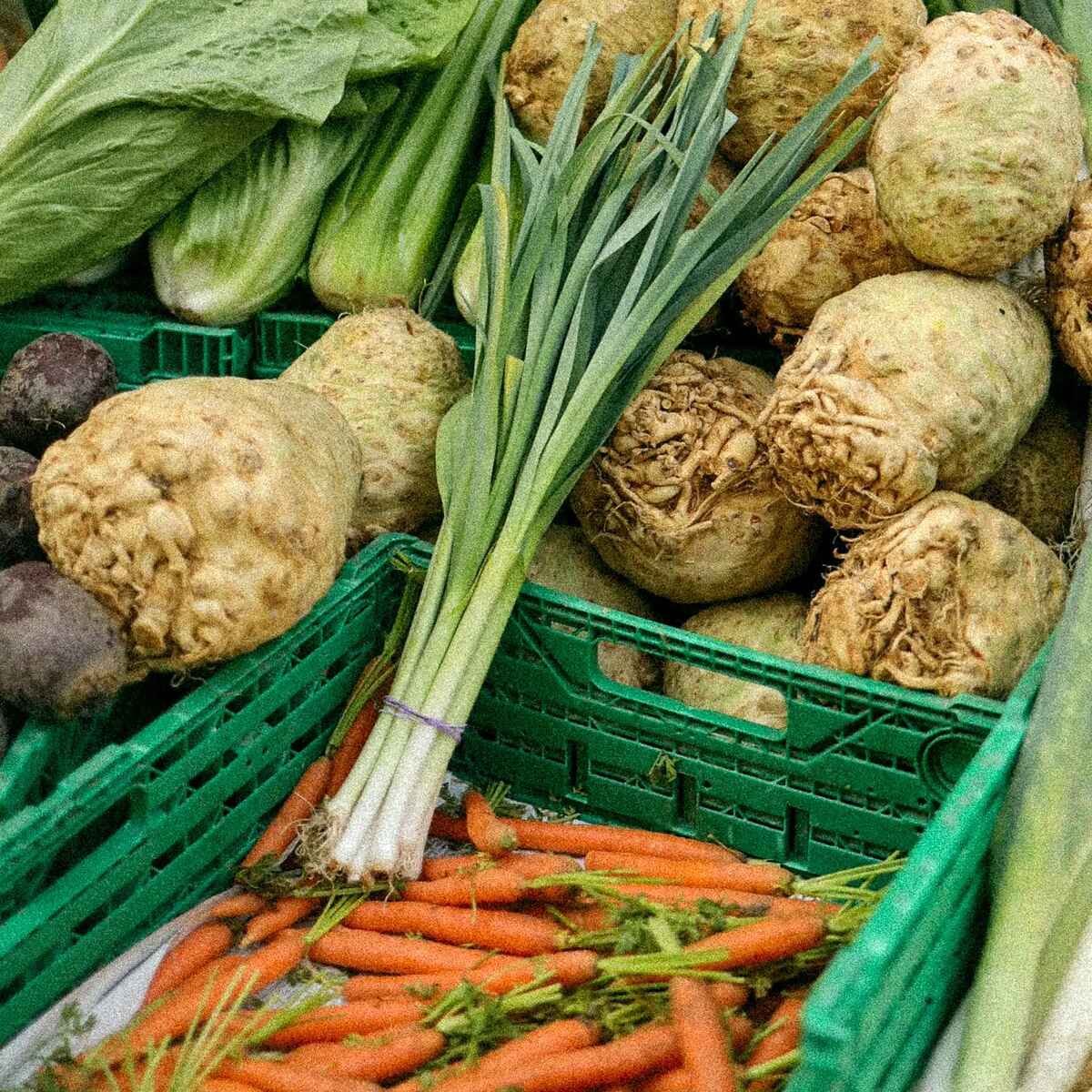 Fresh vegetables in green crates including celery, root vegetables, carrots, and leafy greens at a farmer's market