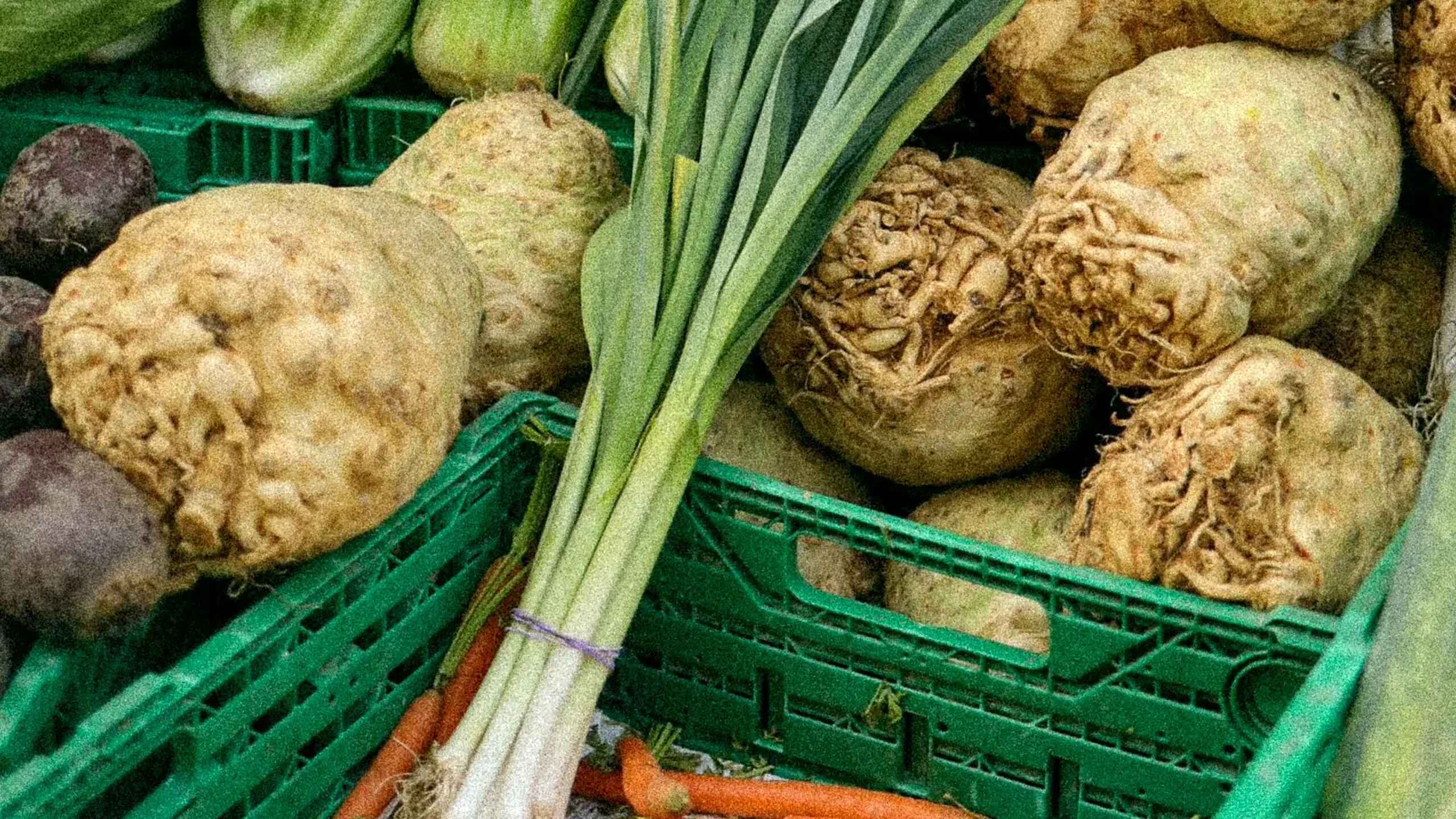 Fresh vegetables in green crates including celery, root vegetables, carrots, and leafy greens at a farmer's market