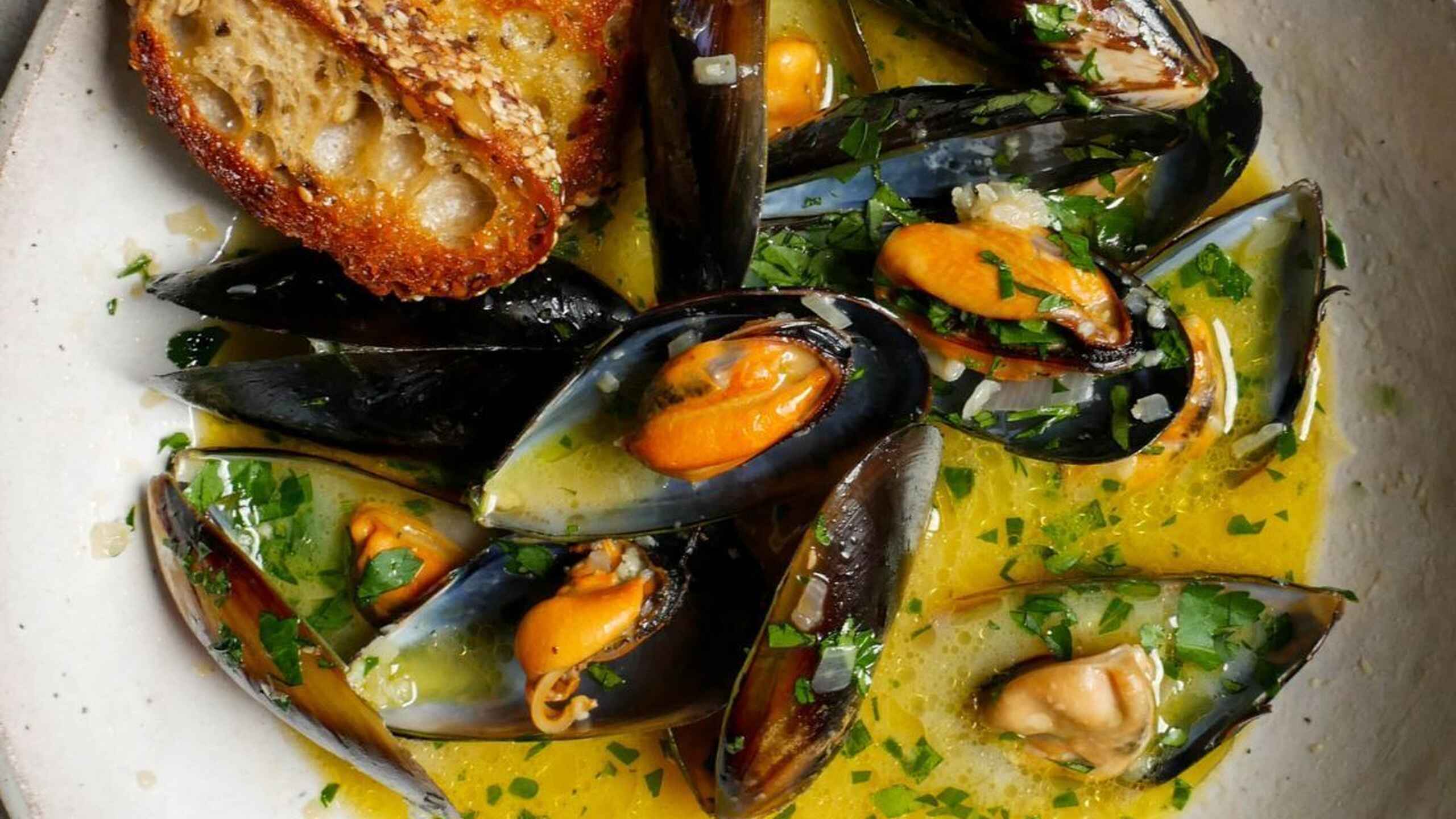 Steamed mussels in saffron broth with charred bread on a white plate