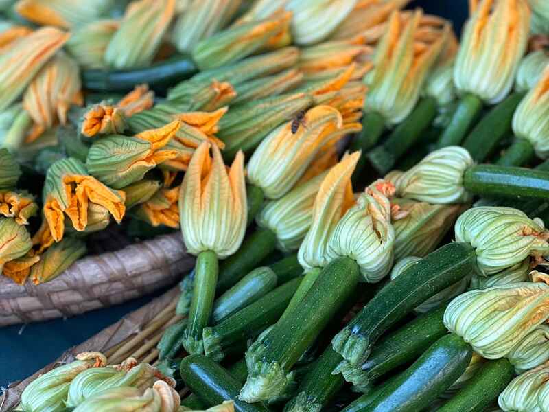Fresh zucchini with delicate yellow and white blossoms ready for cooking