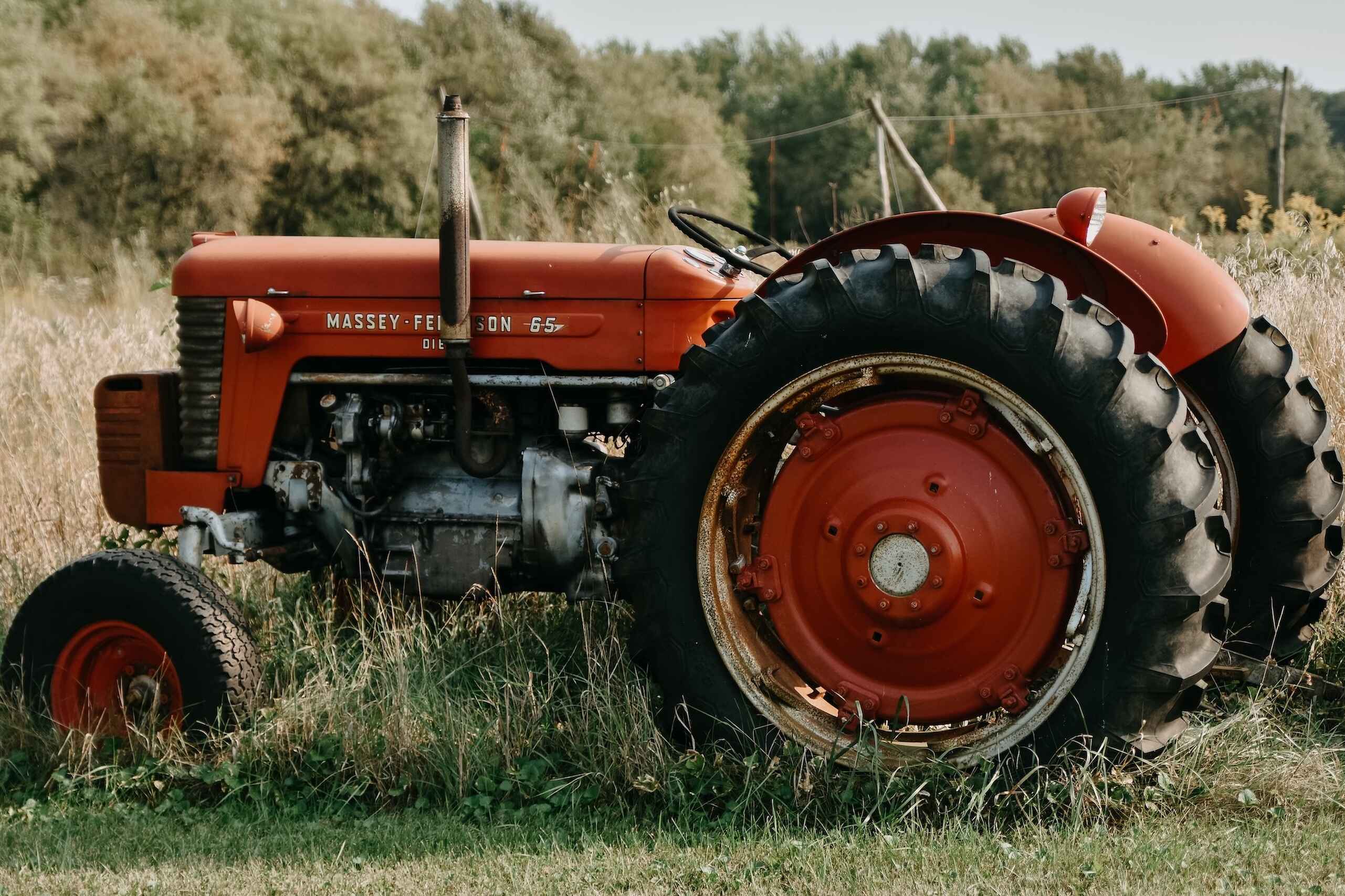 Vintage Massey-Ferguson tractor parked in an overgrown field with trees in the background