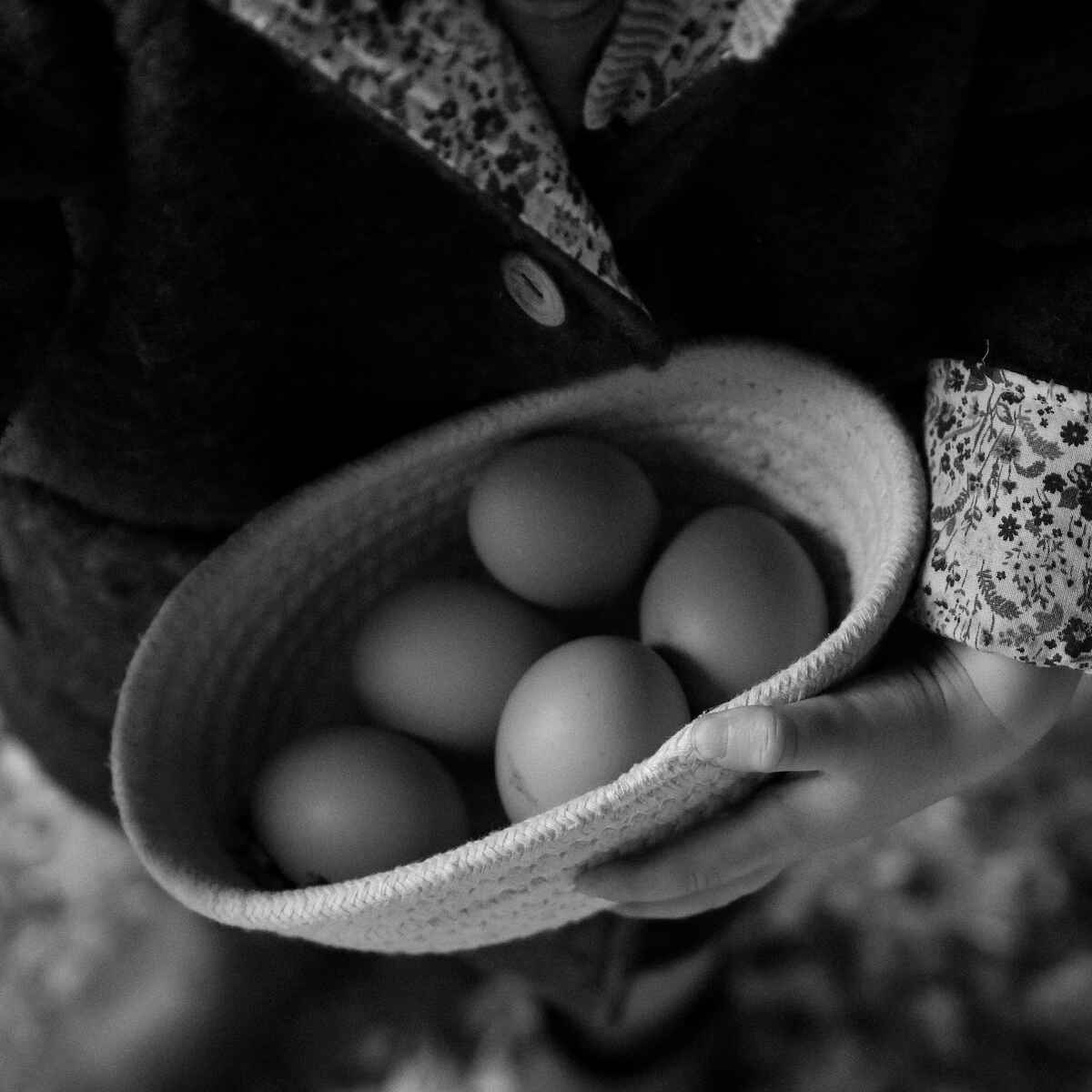 Hands holding a basket of fresh eggs in black and white