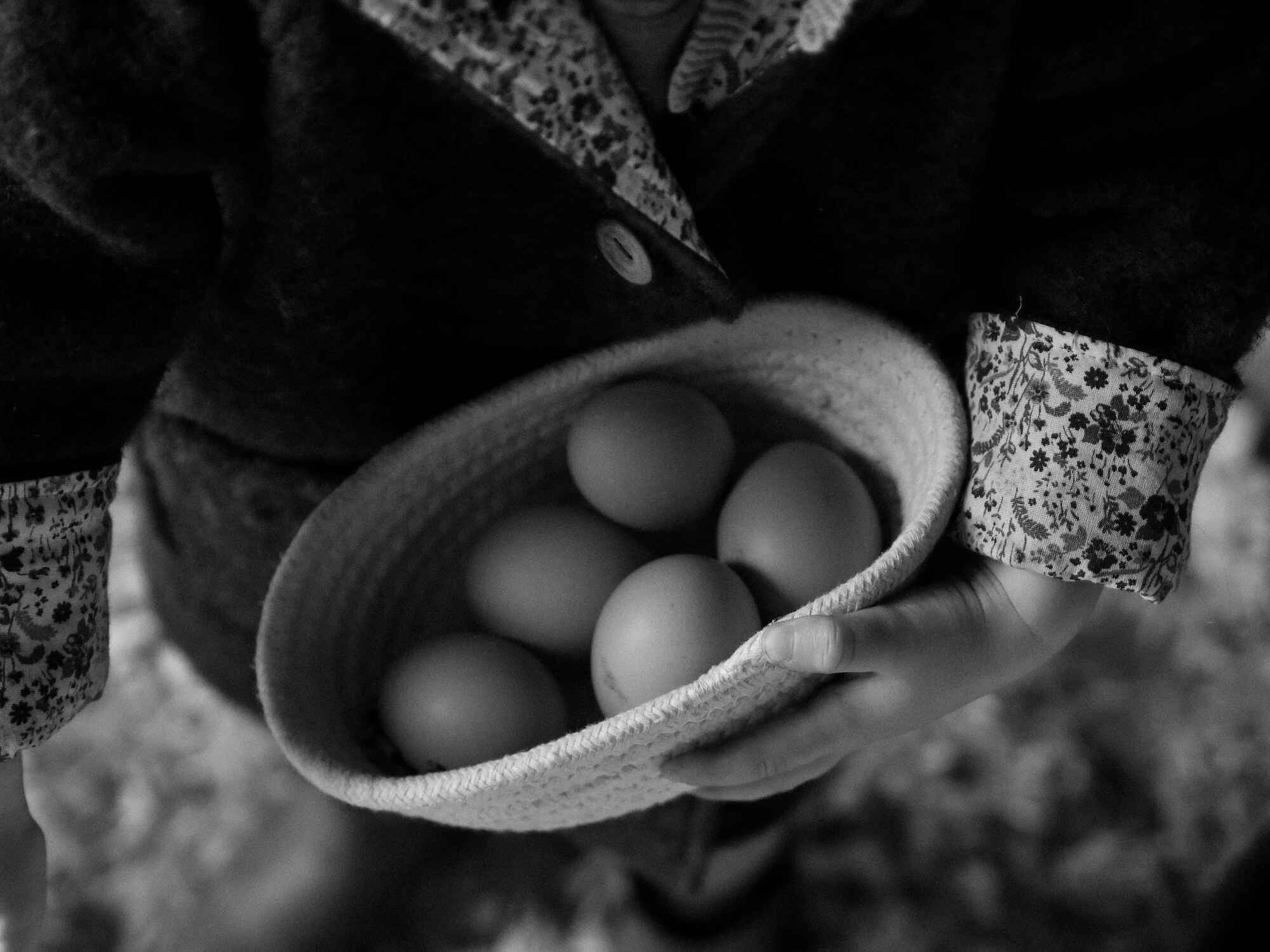 Hands holding a basket of fresh eggs in black and white