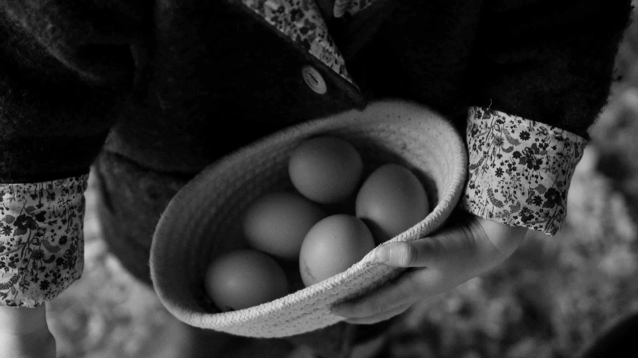 Hands holding a basket of fresh eggs in black and white