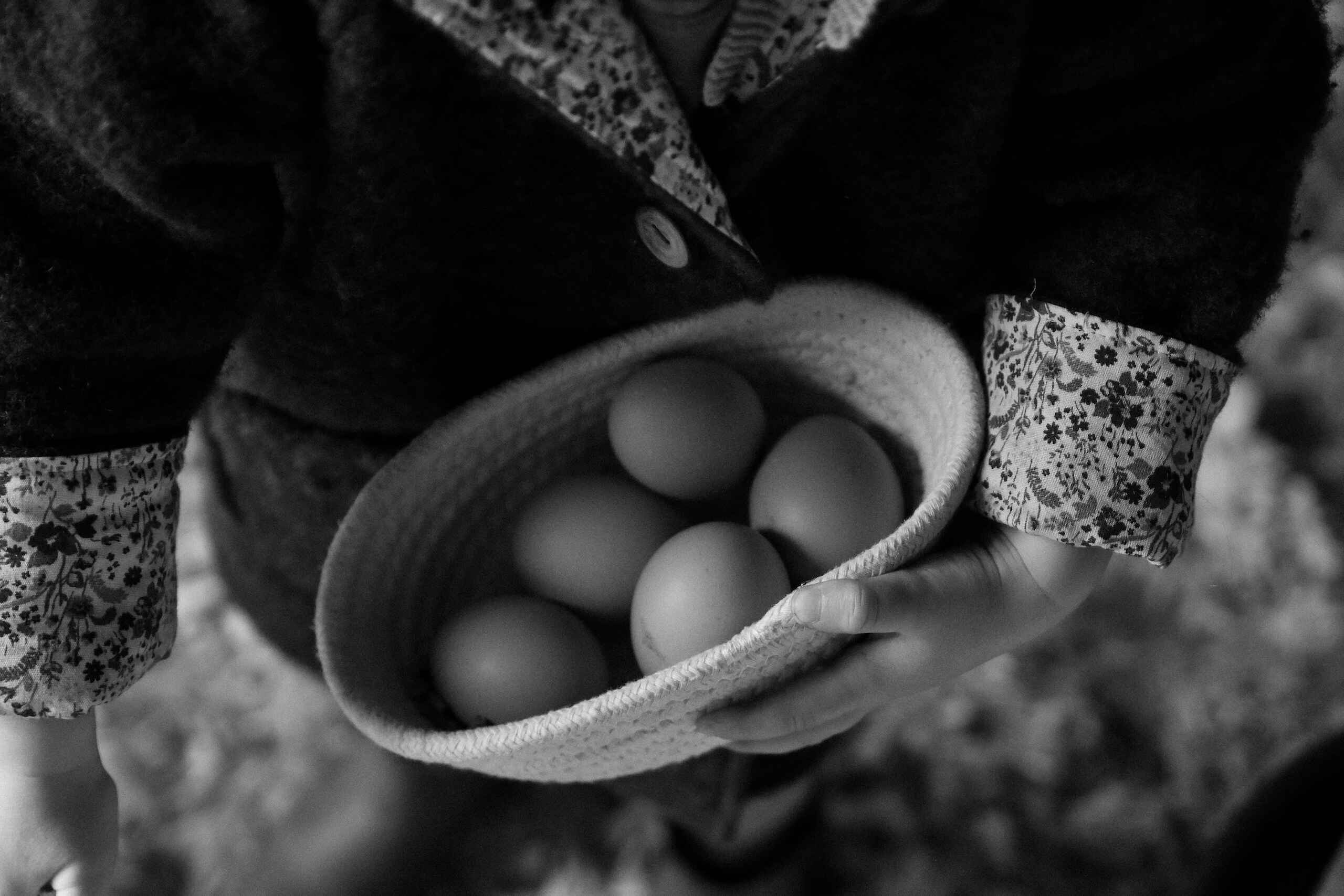 Hands holding a basket of fresh eggs in black and white