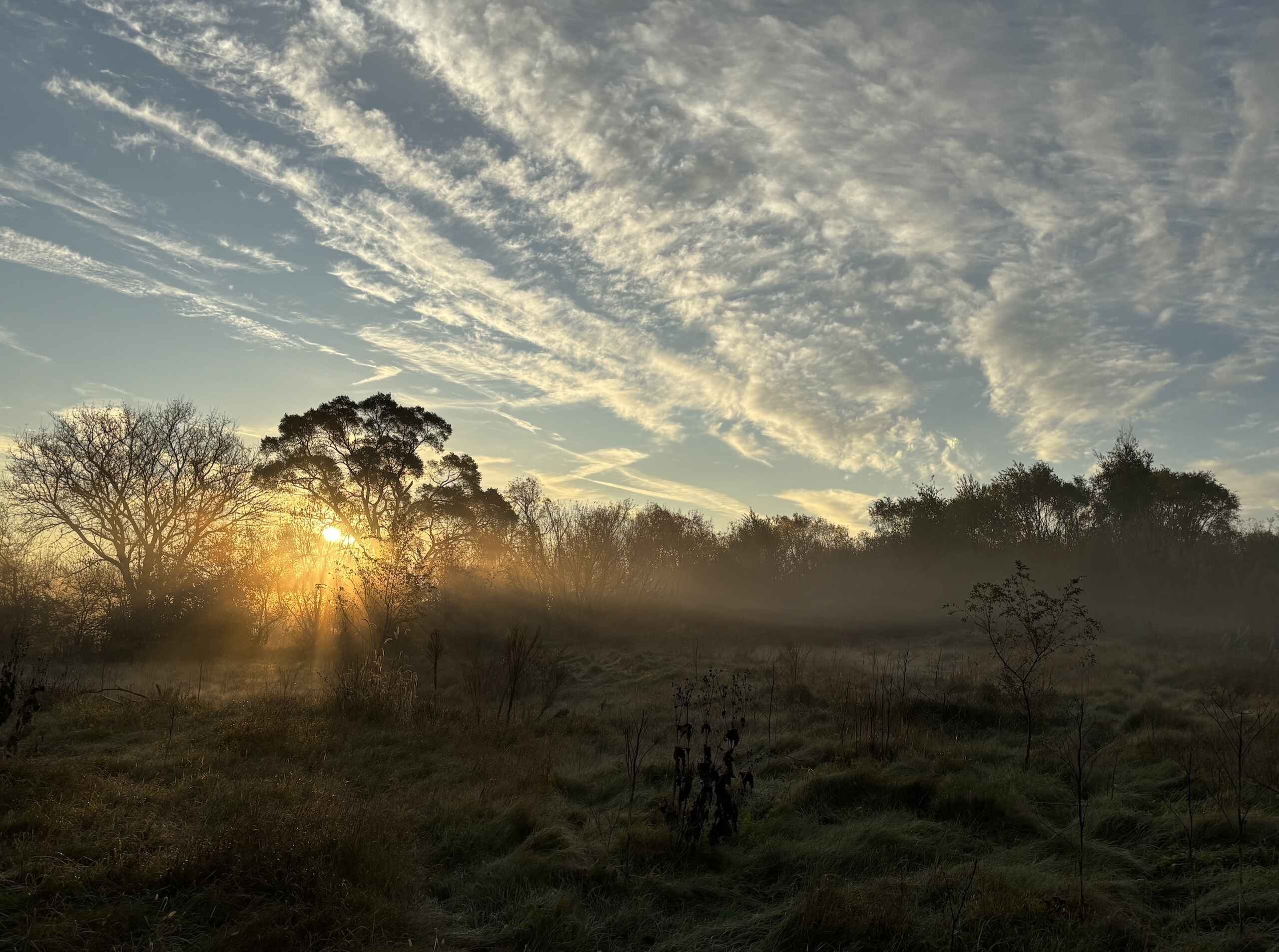 Sunrise over a misty savanna landscape with scattered trees and grassland, symbolizing the beginning of agricultural transformation