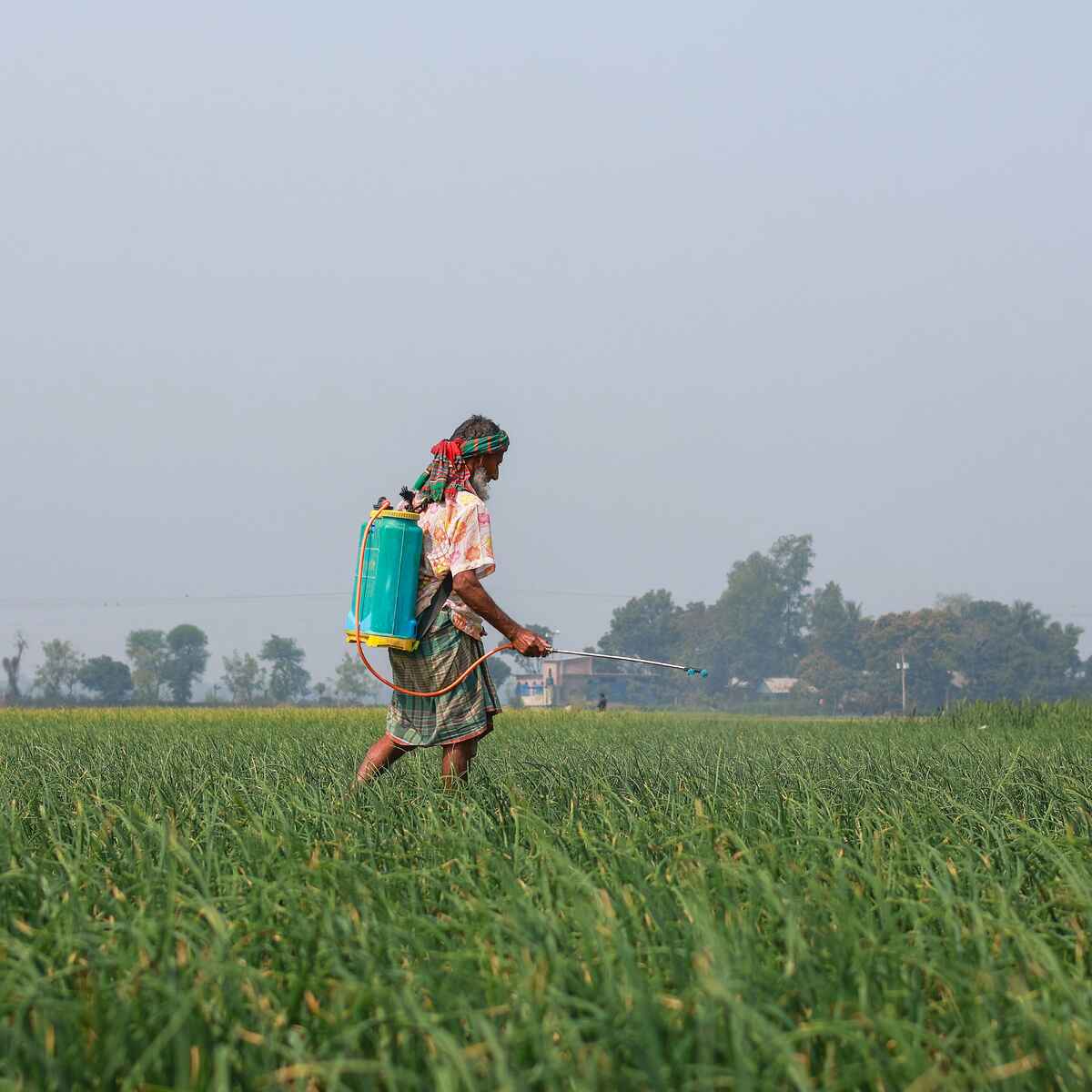Farmer spraying pesticides across a green crop field