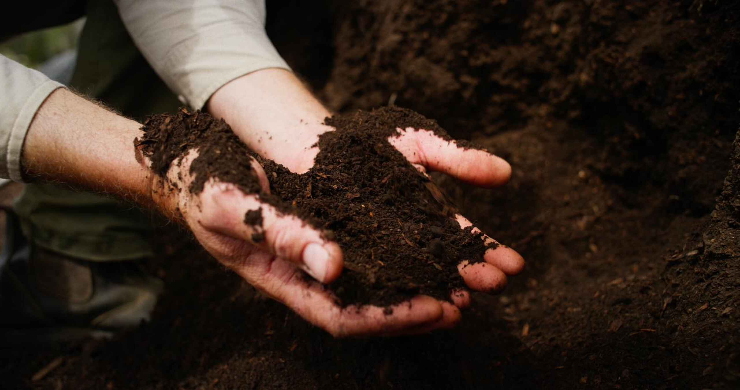 Two hands holding dark, nutrient-rich soil to demonstrate soil health and quality
