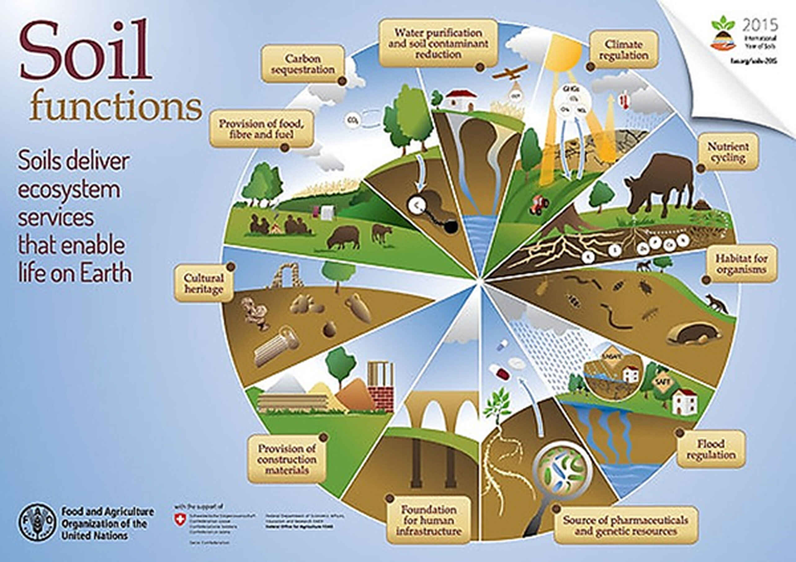 Infographic illustrating the ten ecosystem services provided by soil, including food production, water purification, carbon storage, climate regulation, and habitat support