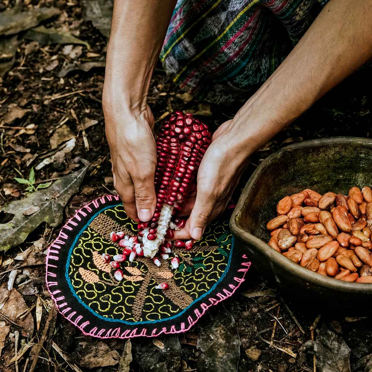 Hands shelling red corn kernels into a decorative bowl while dried beans sit nearby in a clay dish