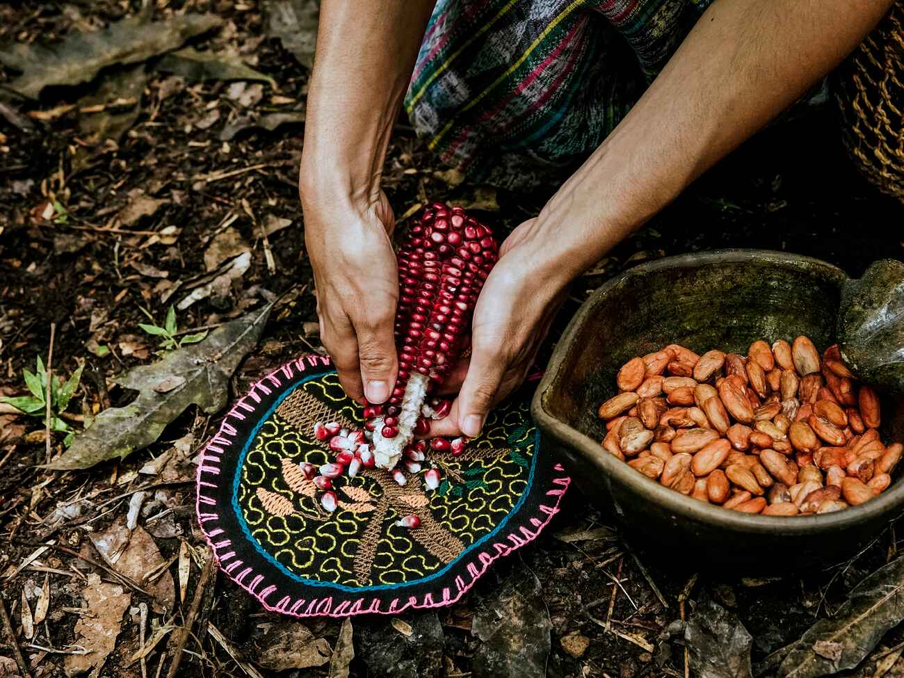 Hands shelling red corn kernels into a decorative bowl while dried beans sit nearby in a clay dish
