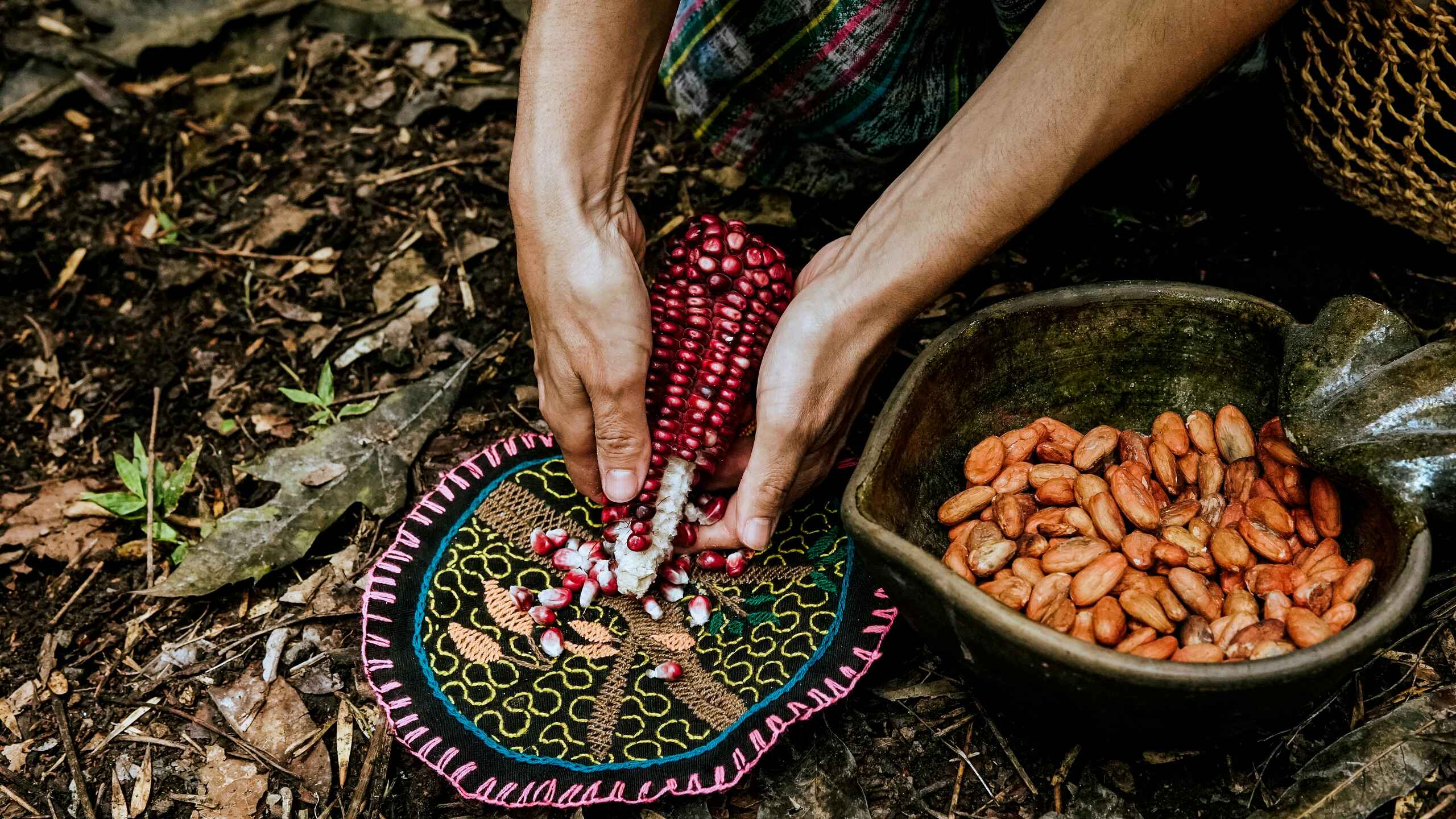 Hands shelling red corn kernels into a decorative bowl while dried beans sit nearby in a clay dish