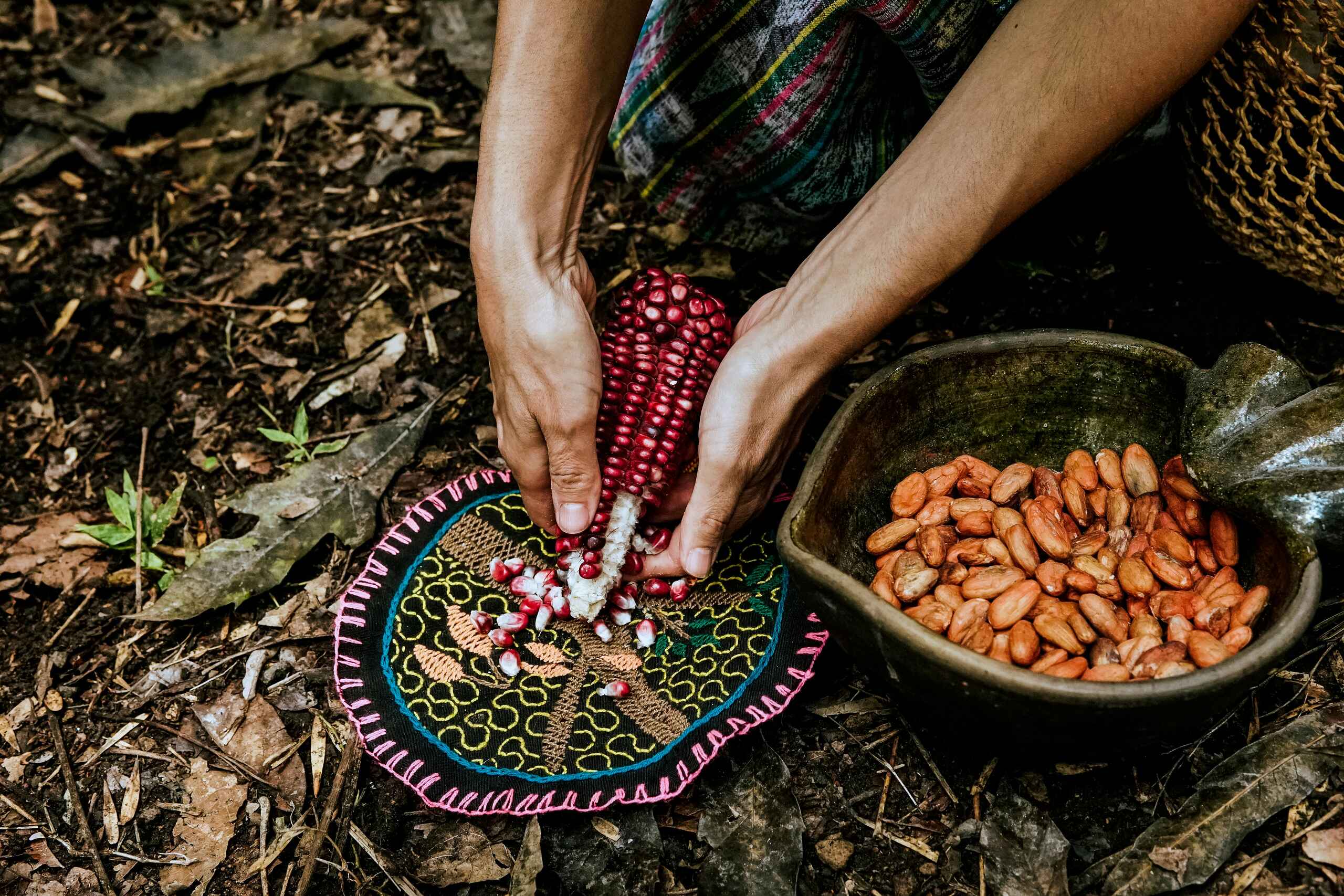 Hands shelling red corn kernels into a decorative bowl while dried beans sit nearby in a clay dish