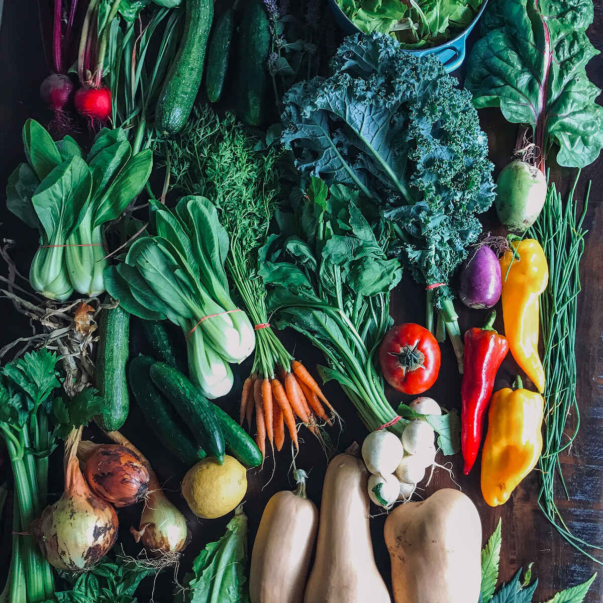 Fresh produce arranged on a dark surface including leafy greens, root vegetables, peppers, tomatoes, and squash