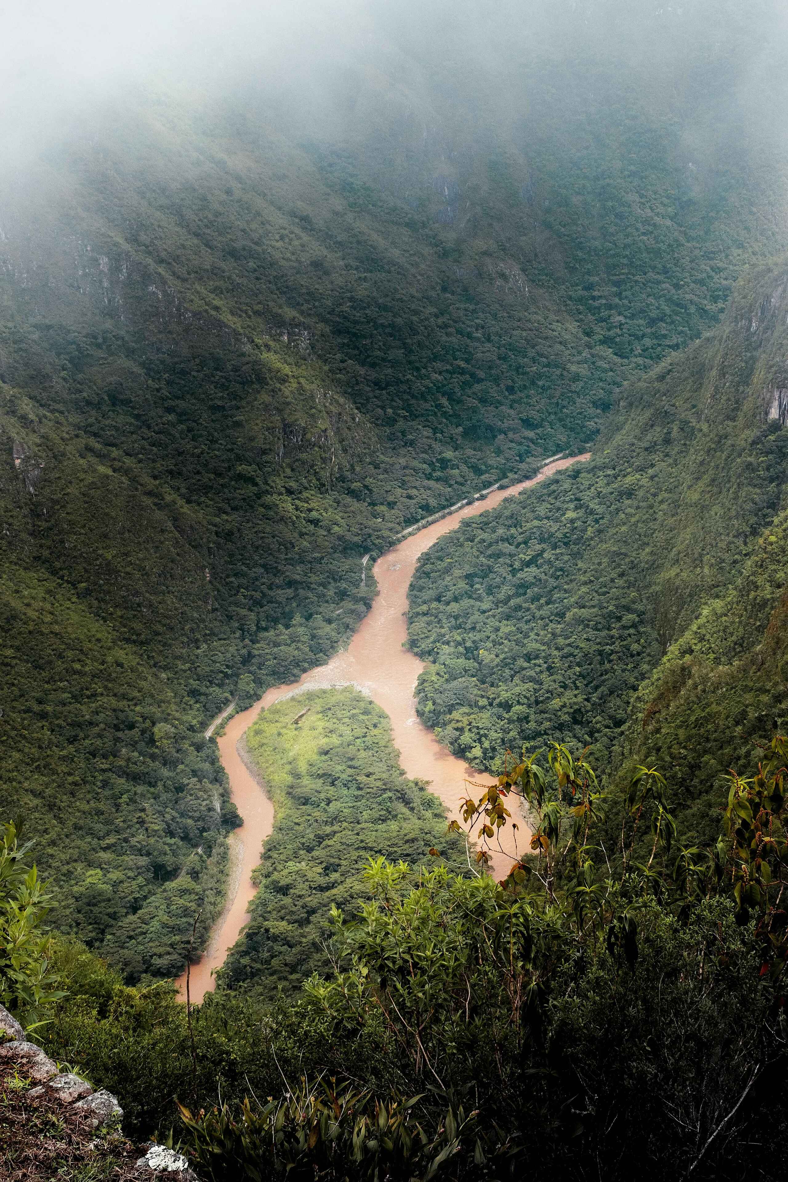 Aerial view of a winding river through dense Amazon rainforest surrounded by steep canyon walls