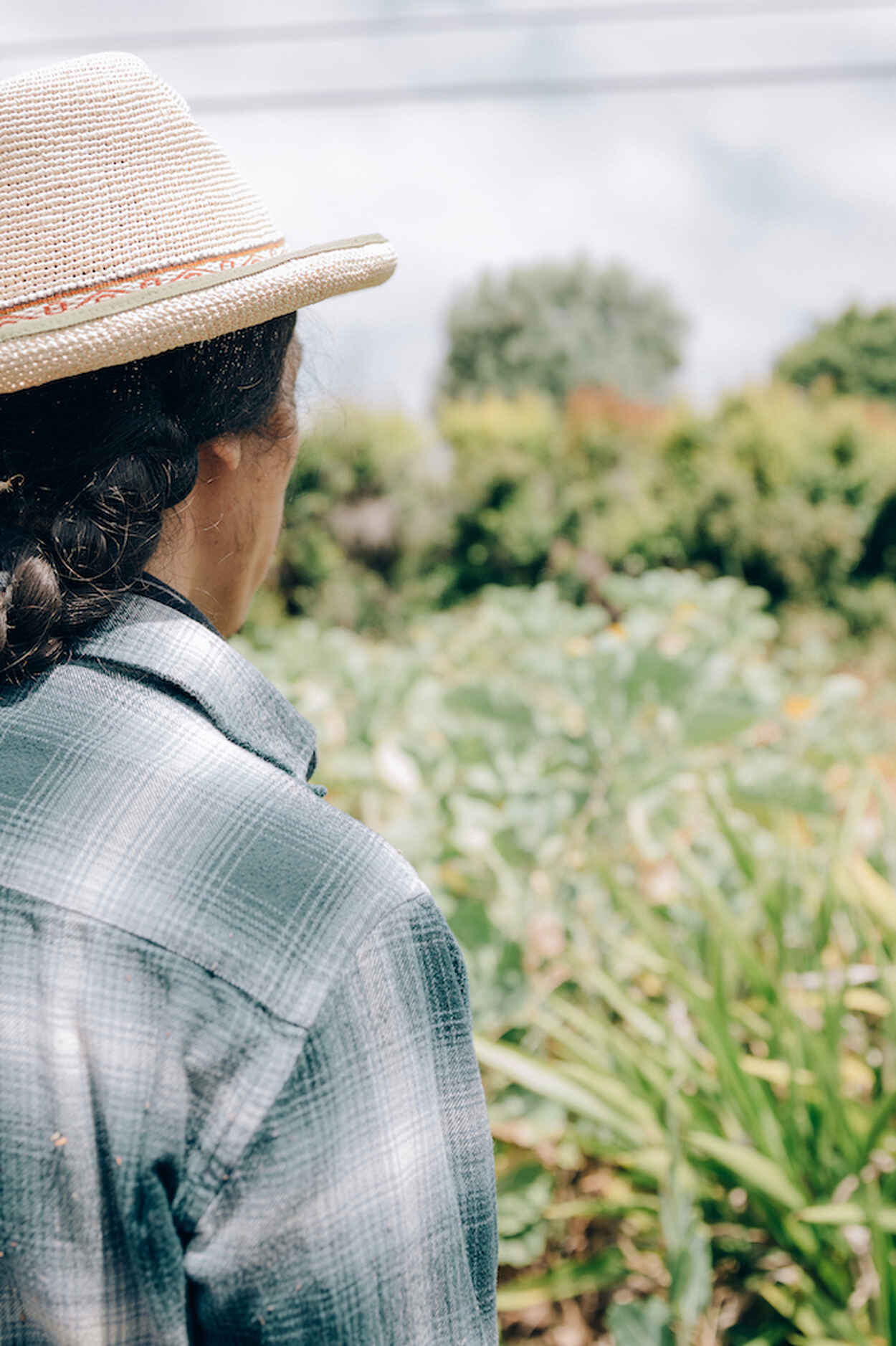 Farmer looking out at his farm