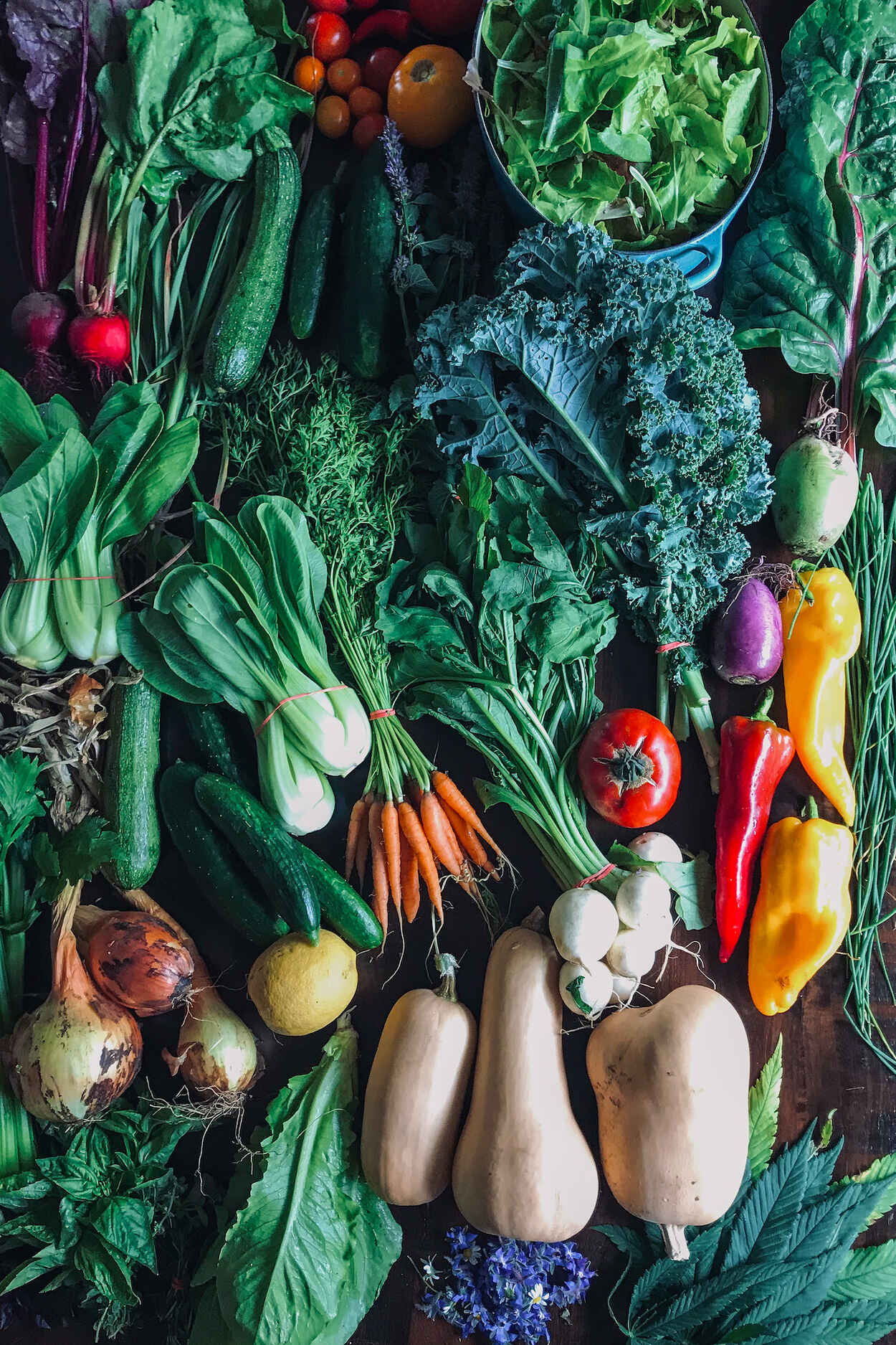 Assortment of fresh vegetables including leafy greens, root vegetables, peppers, and tomatoes arranged on a dark surface