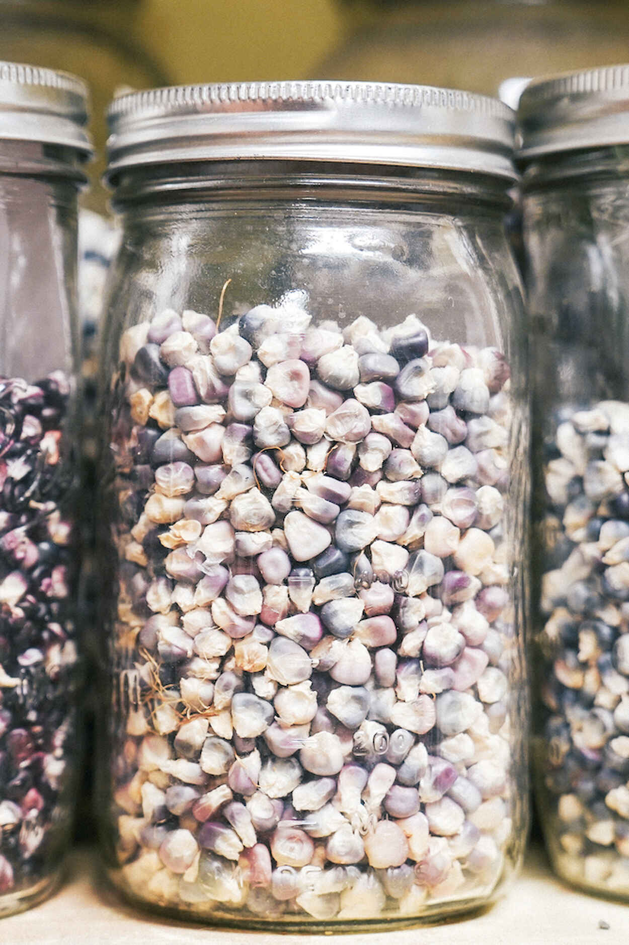 Three glass jars containing different varieties of dried legume seeds for saving and replanting