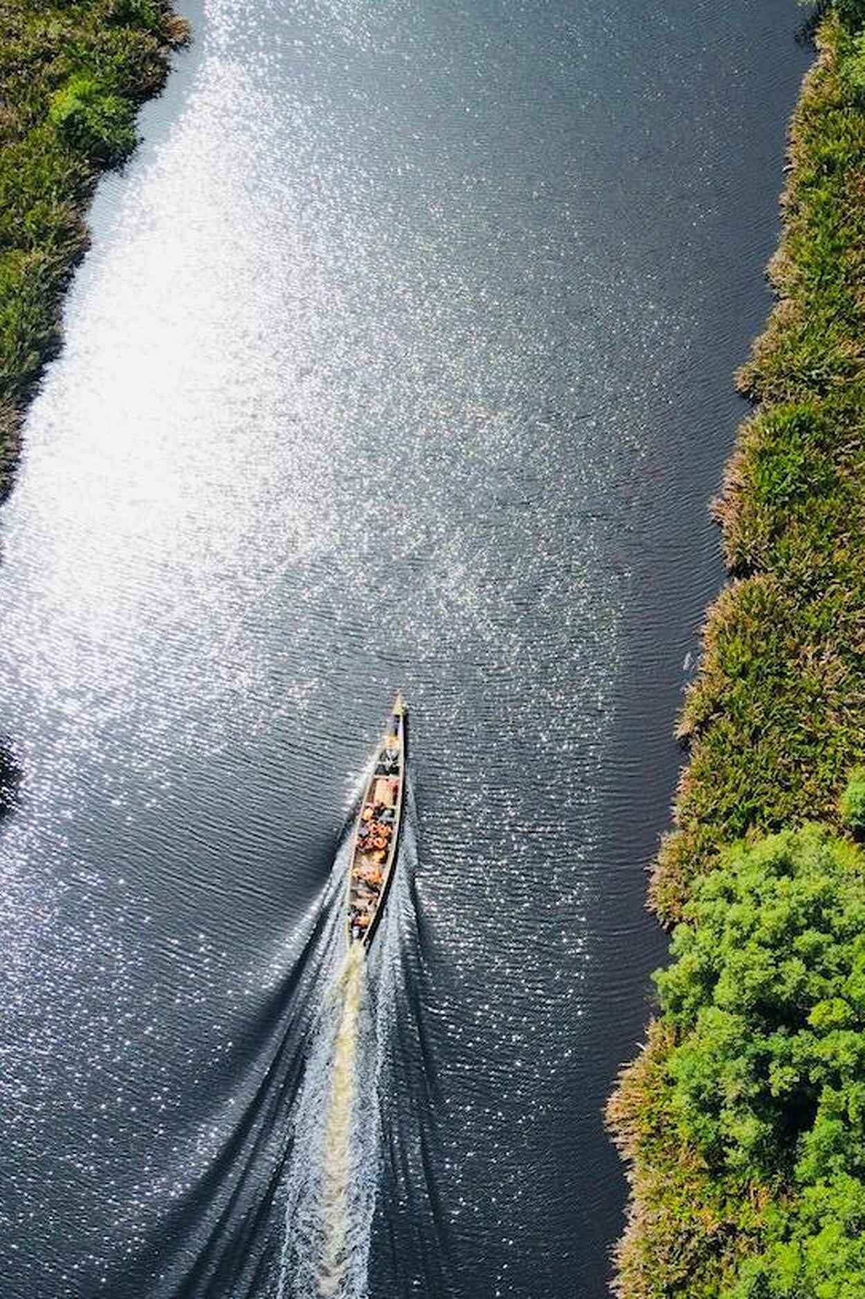 Aerial view of a narrow boat traveling through a waterway lined with dense green forest on both sides