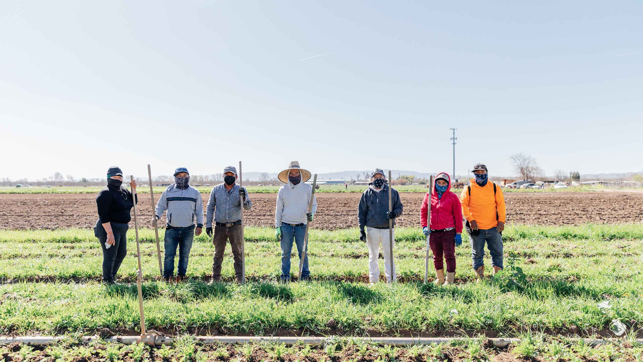 Seven farmers stand in a crop field during a farm visit or educational demonstration