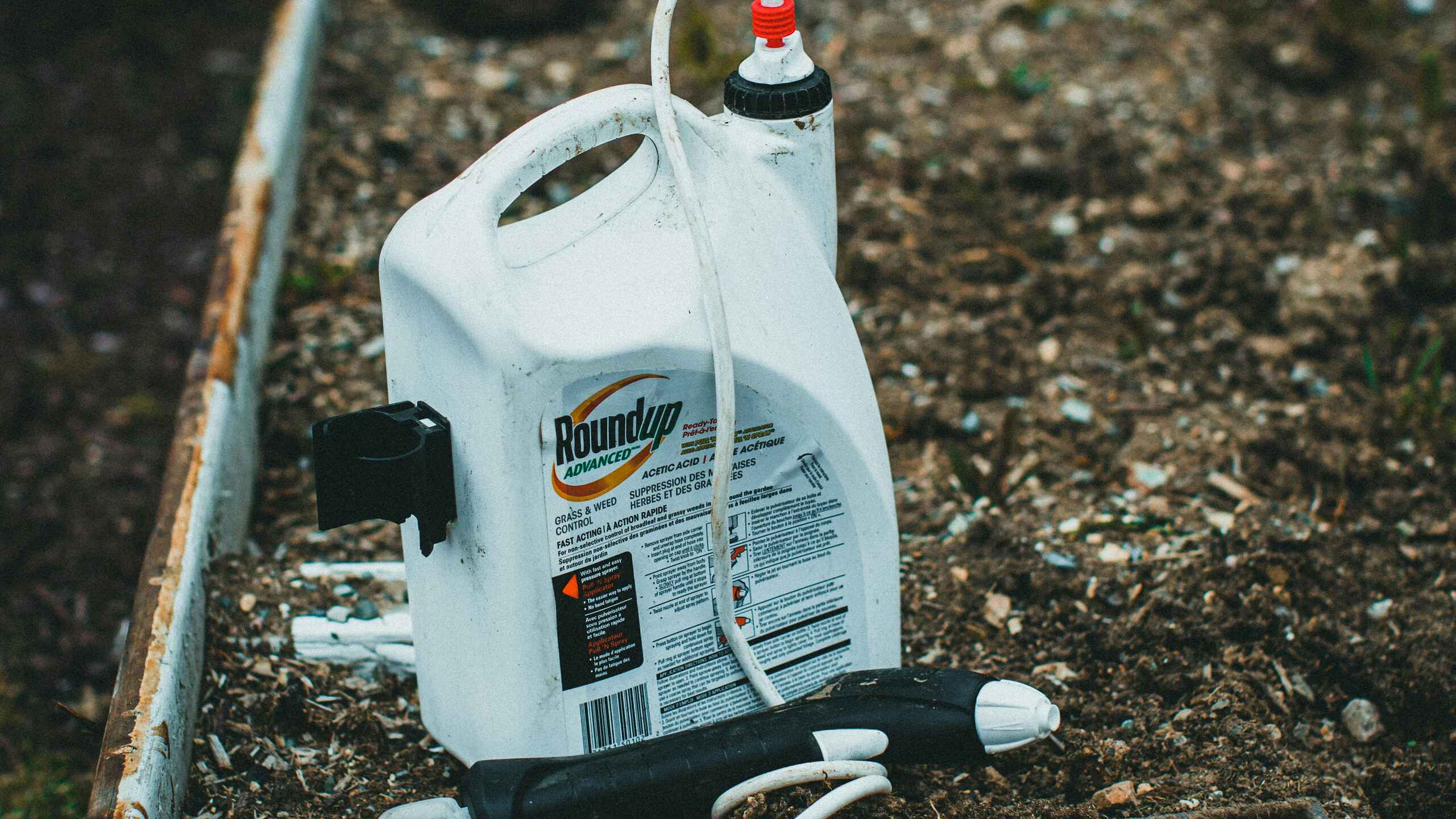 Roundup herbicide bottle with spray nozzle positioned in a raised garden bed