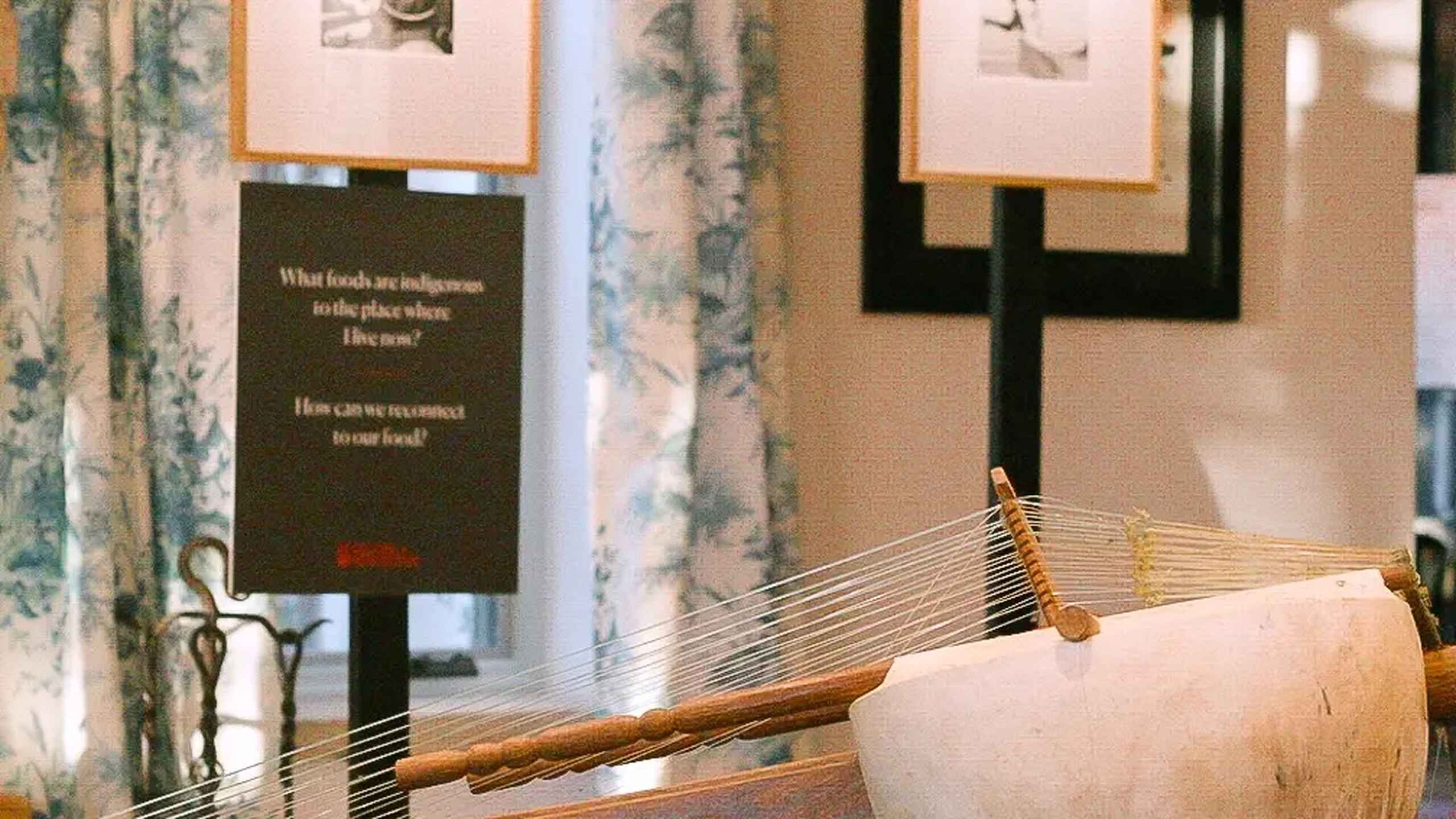 Traditional stringed instrument displayed in a museum exhibition about food and agriculture