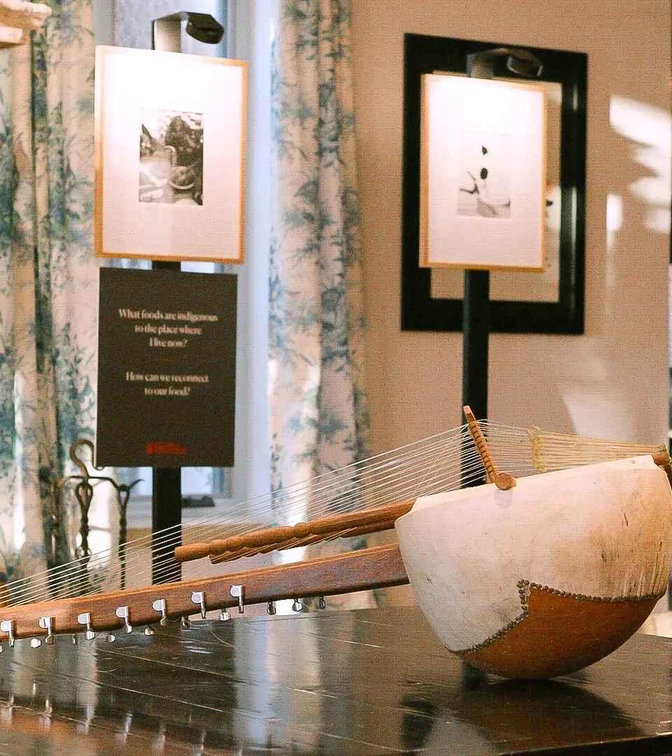 Traditional stringed instrument displayed in a museum exhibition about food and agriculture