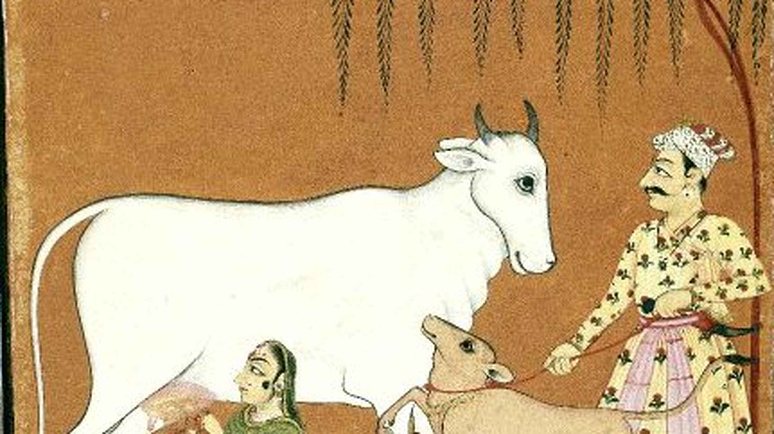 Indian agricultural scene showing a farmer milking a cow while a woman and child tend to a goat beneath a willow tree