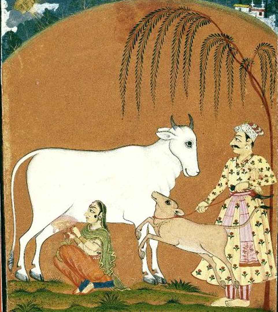 Indian agricultural scene showing a farmer milking a cow while a woman and child tend to a goat beneath a willow tree