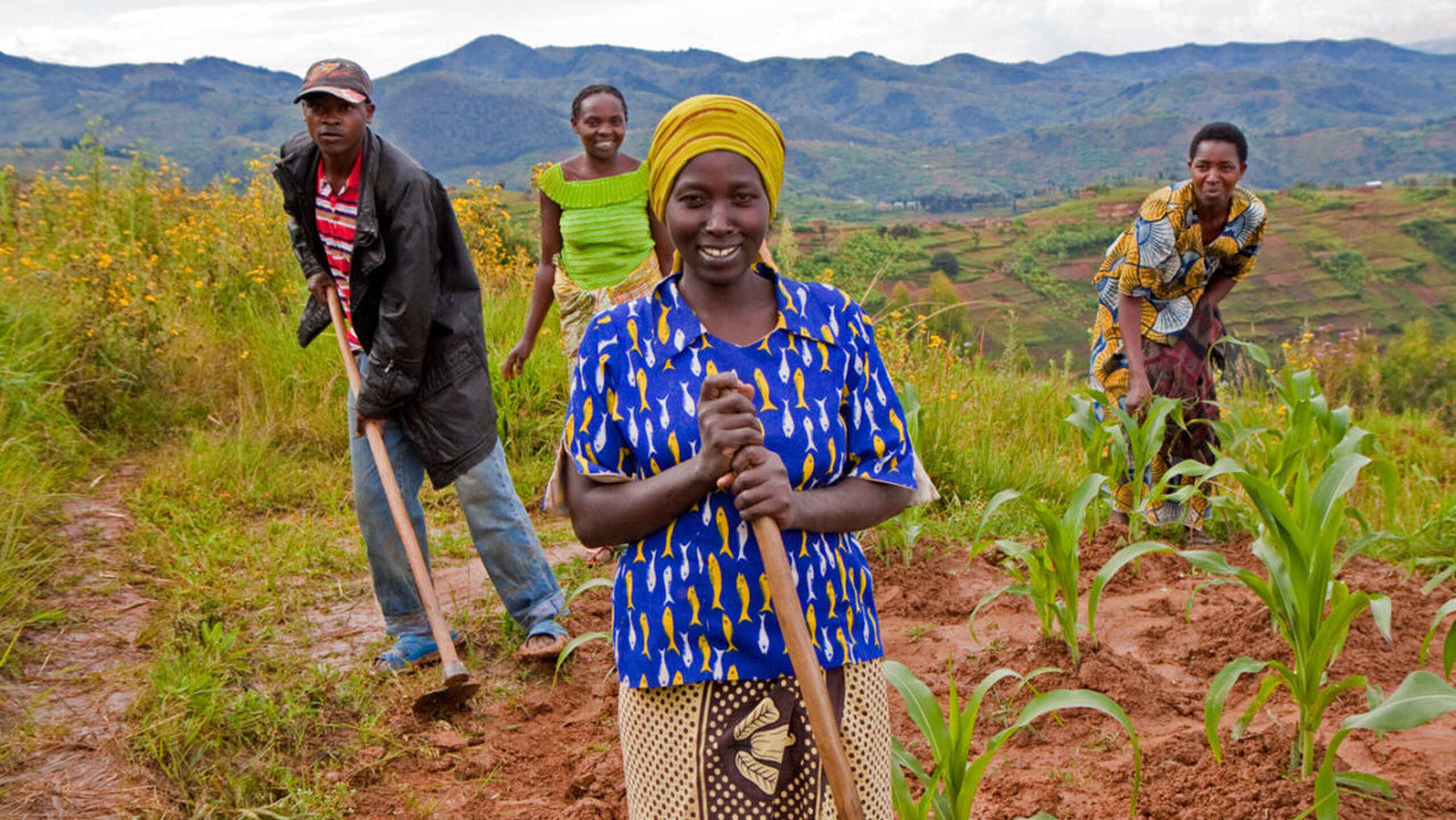 Farmers working together in a lush agricultural field in Senegal's countryside