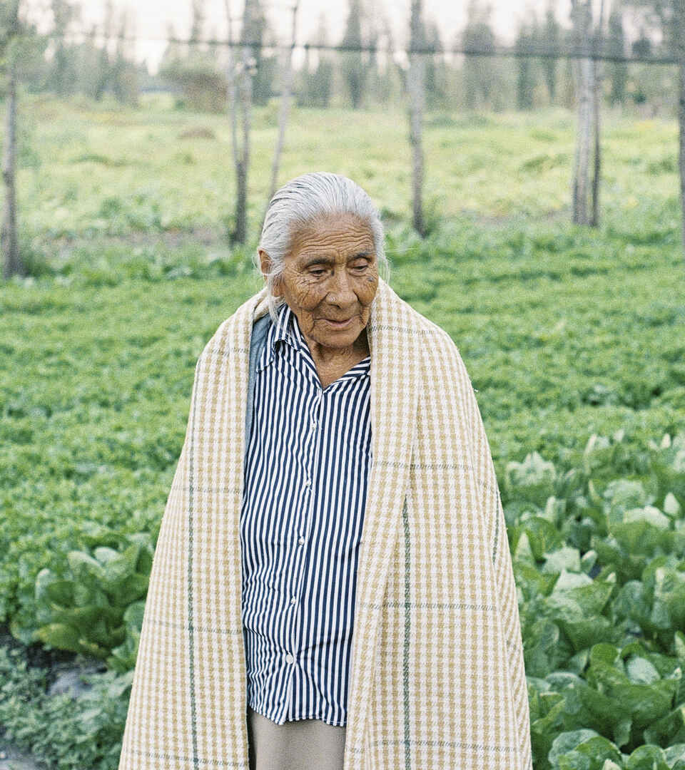 Elderly woman standing in a lush vegetable garden with traditional striped shirt and woven shawl
