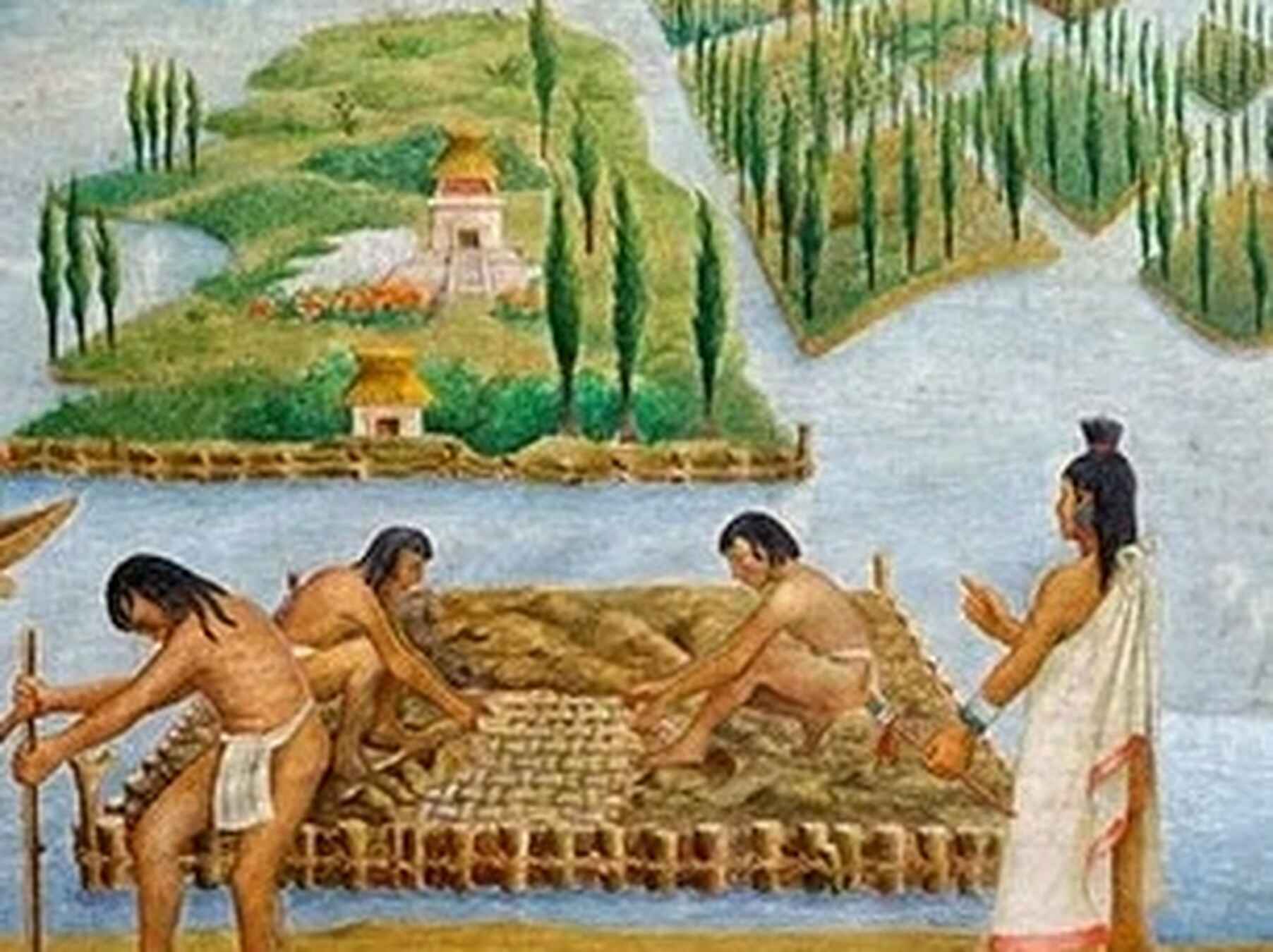 Ancient Mesoamerican agricultural method of chinampa farming with workers harvesting crops from floating garden beds
