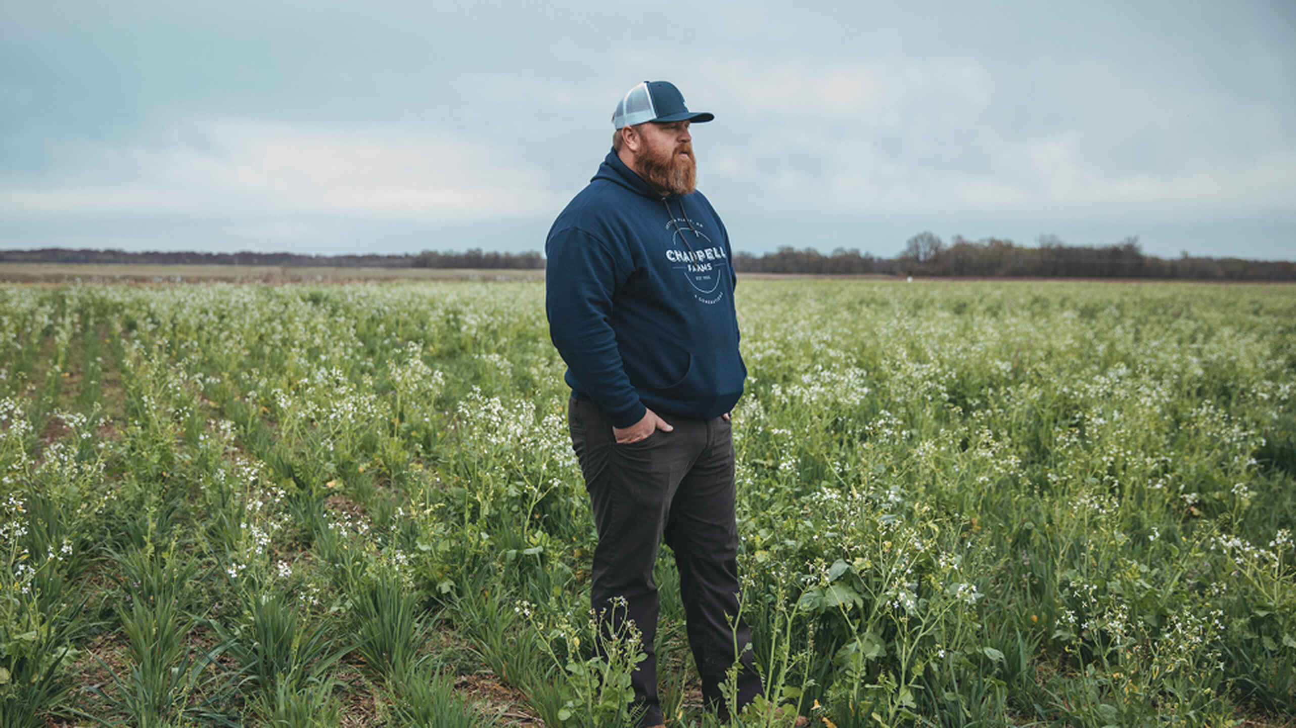Farmer Adam Chappell standing in a flowering cover crop field in early spring