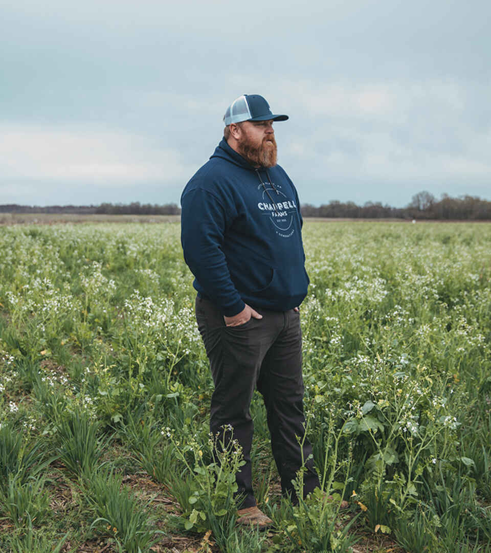 Farmer Adam Chappell standing in a flowering cover crop field in early spring