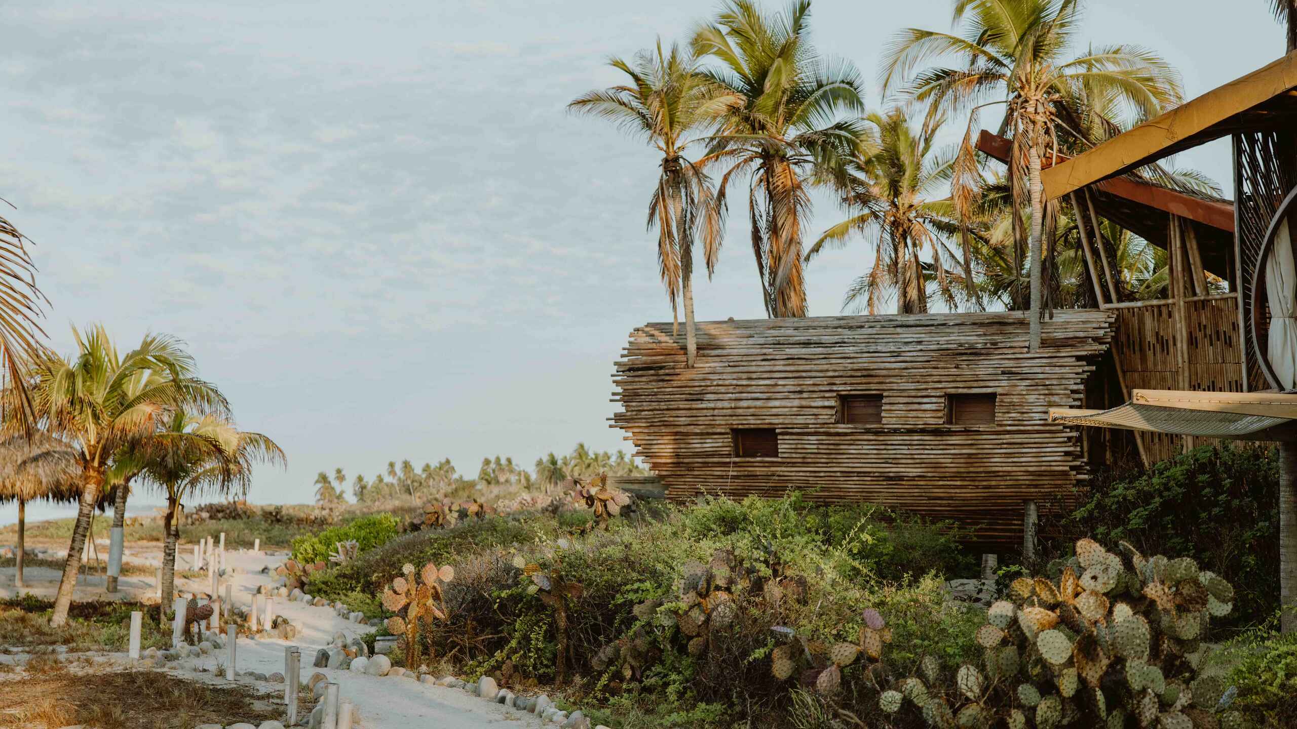 Wooden beachfront structure surrounded by palm trees and desert plants along a sandy pathway